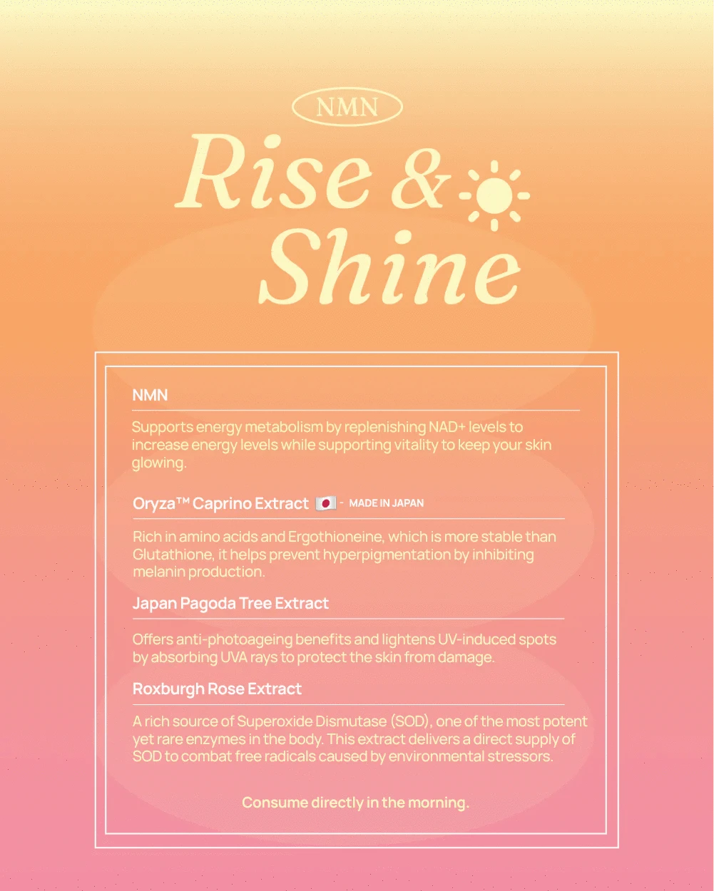 LUMI Beauty LUMI Beauty NMN Rise and Shine 28s ANC1245