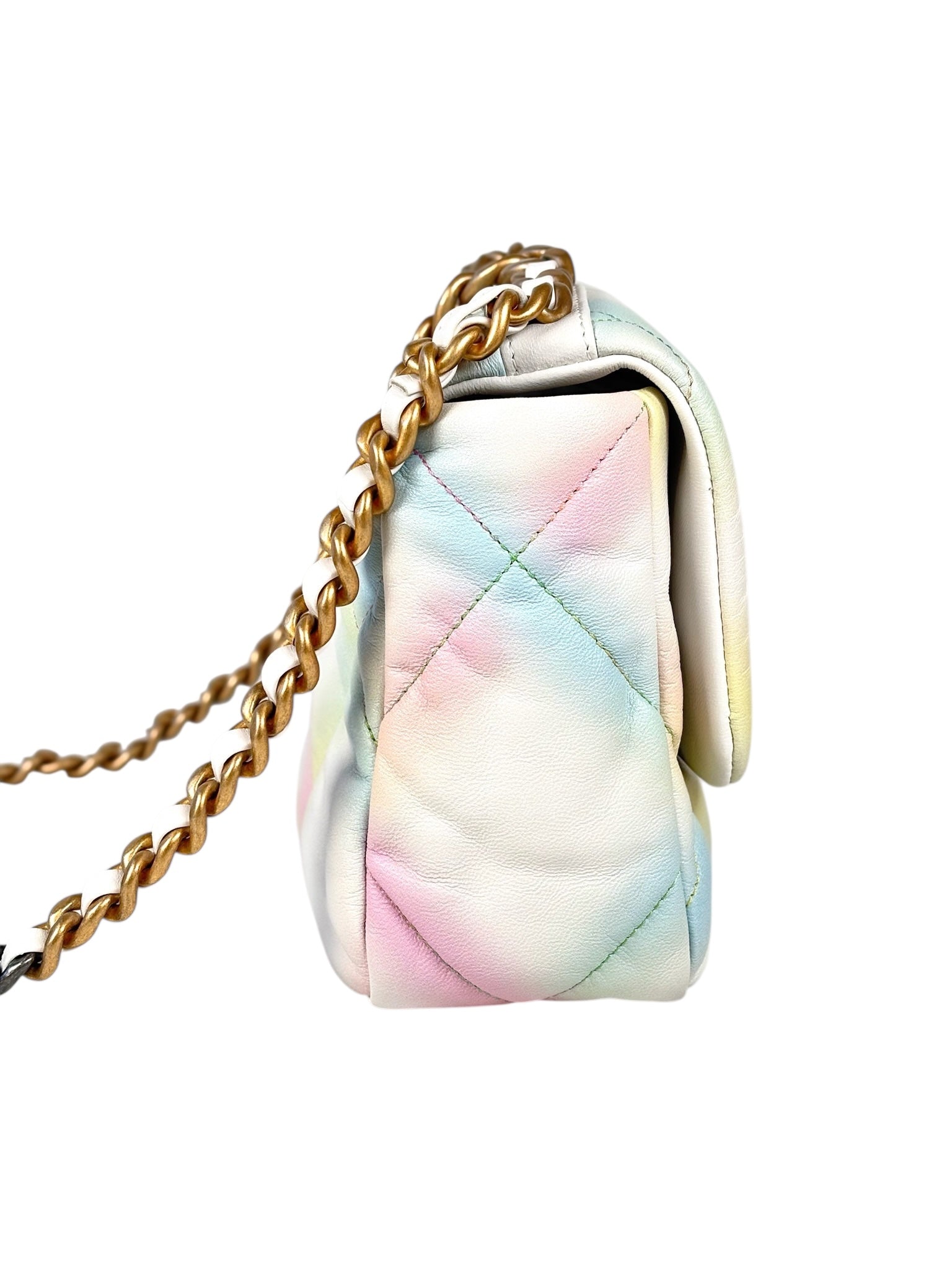 Chanel 19 Multi Colours Small Bag