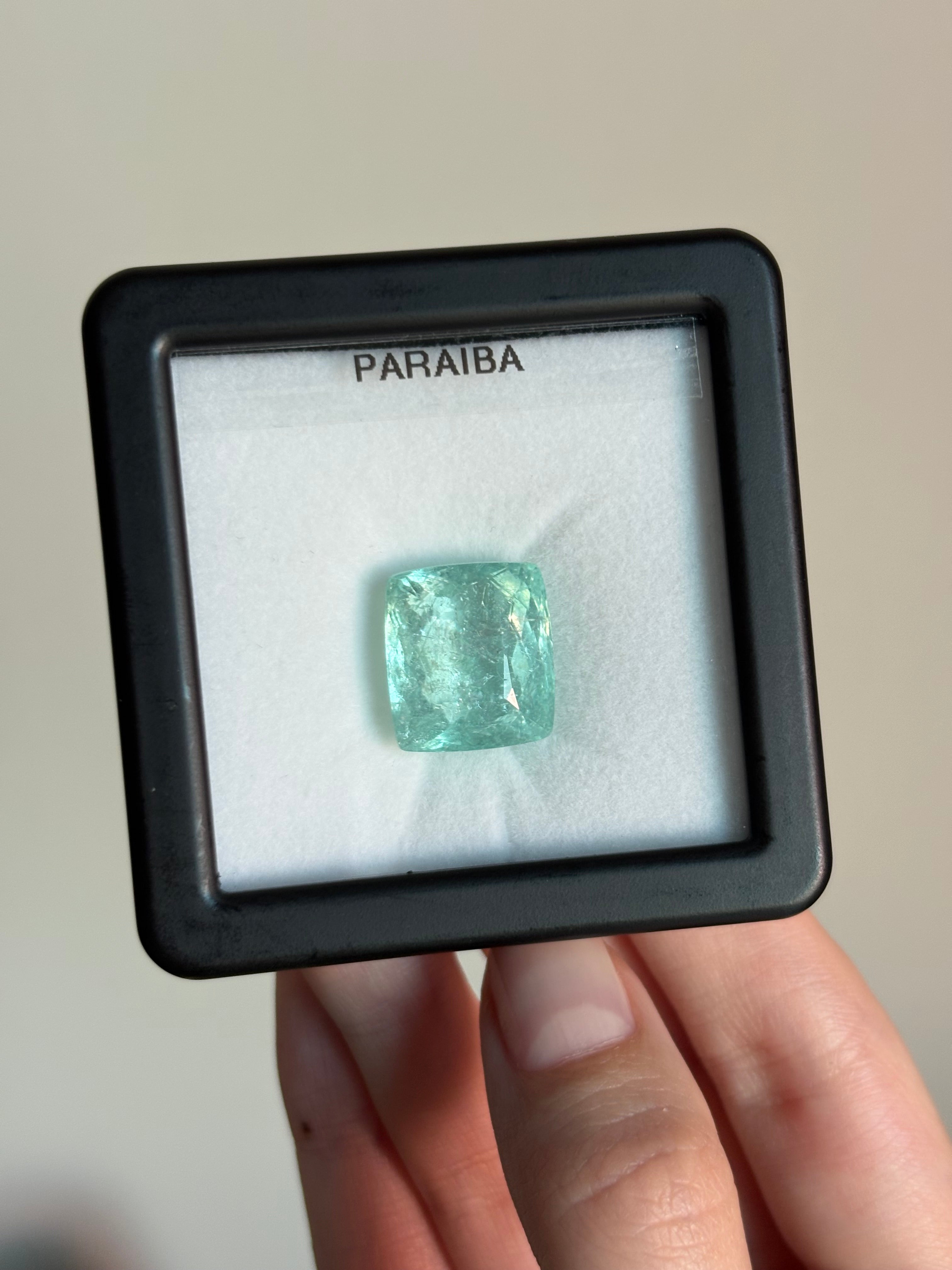 19.65ct Paraiba Cushion DXBCD1725