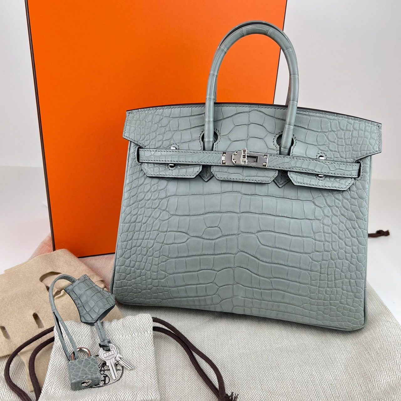 Hermes Birkin 25 Gris Ciment Matte Alligator PHW #W SKCB-118192