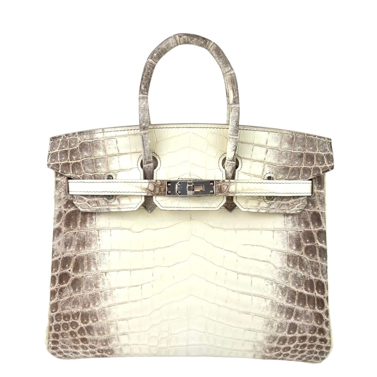 Hermes Birkin 25 Himalaya Matte Niloticus PHW #Y SKCB-133464