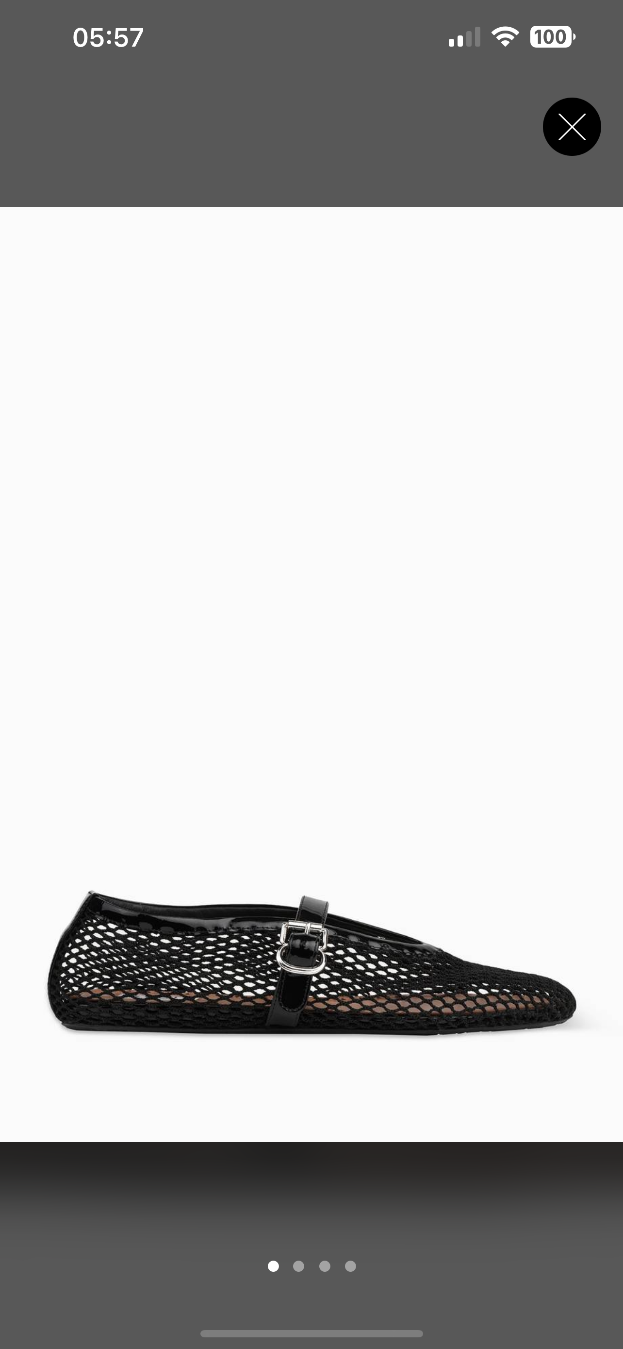 Aalia shoes fishnet black