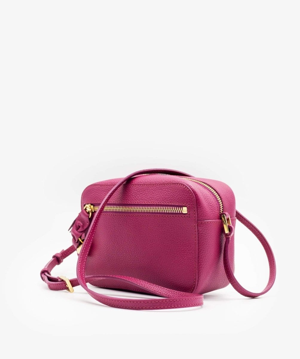 Alexander McQueeen Purple Camera Bag