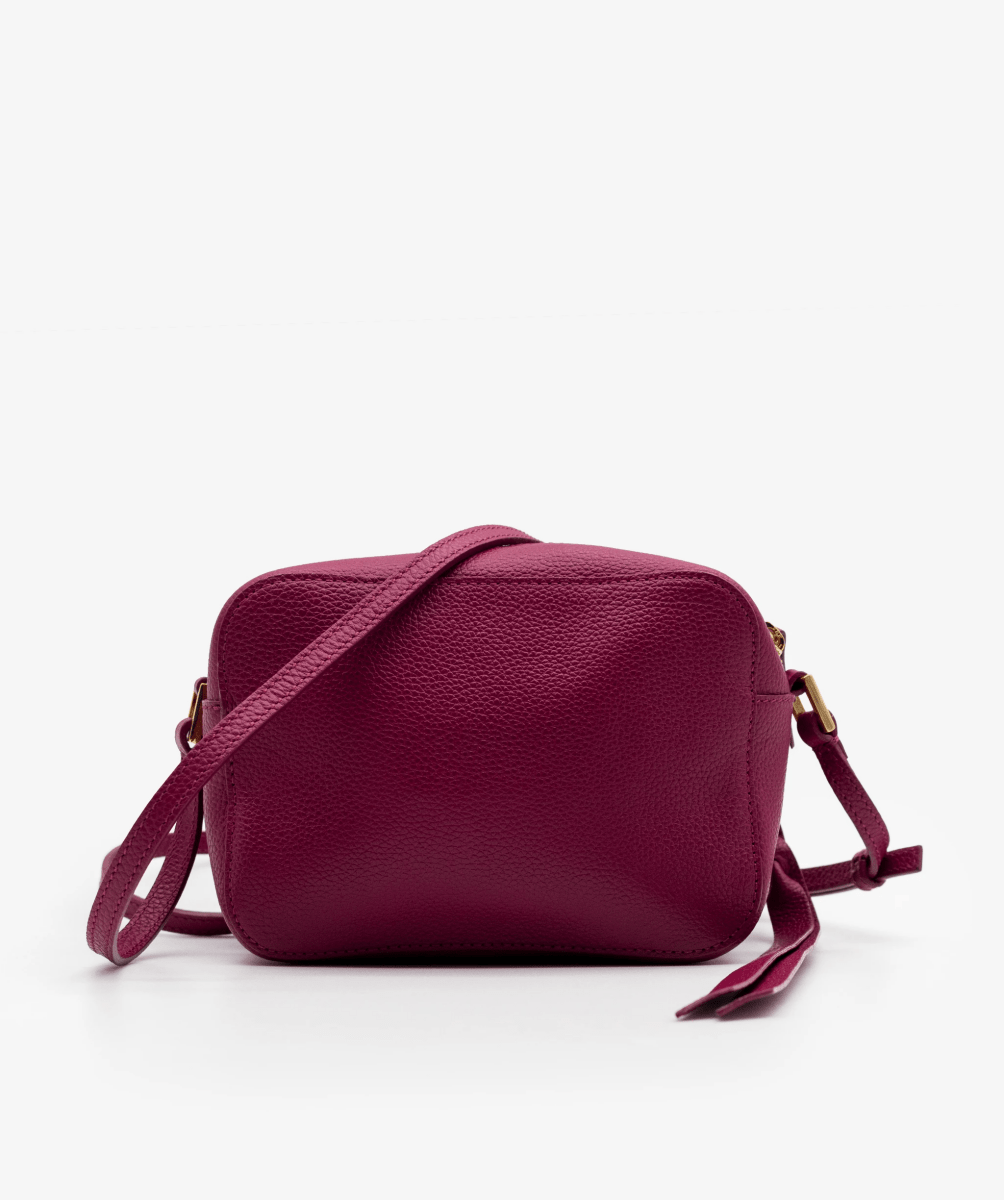 Alexander McQueeen Purple Camera Bag