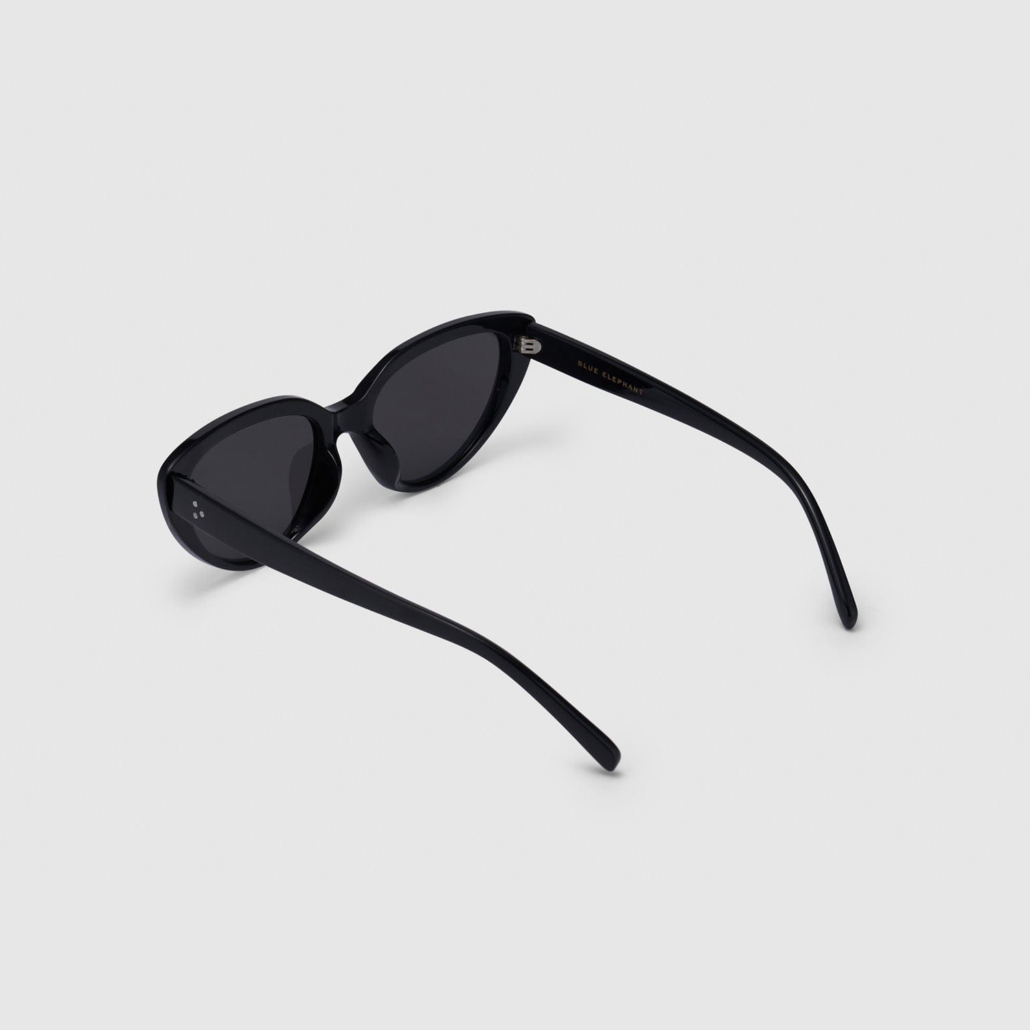 BLUE ELEPHANT DEV SUNGLASSES BLACK (النظارات الشمسية)