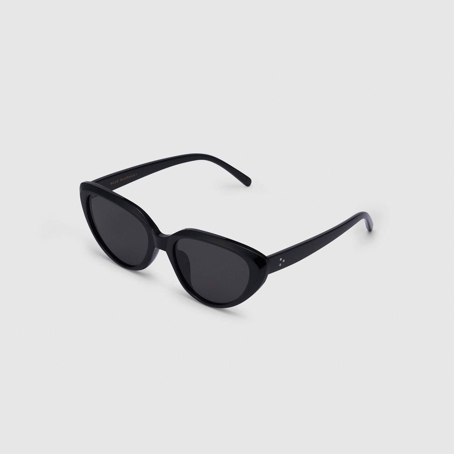 BLUE ELEPHANT DEV SUNGLASSES BLACK (النظارات الشمسية)