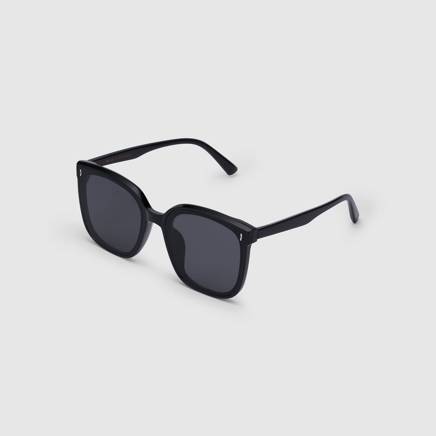 BLUE ELEPHANT VAINT SUNGLASSES BLACK (النظارات الشمسية)