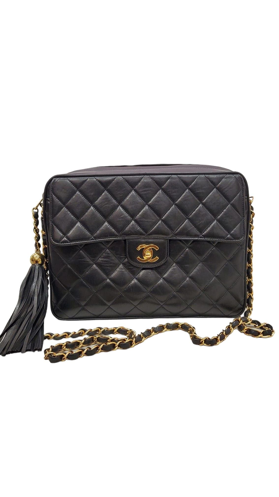 Chanel Chanel Camera Bag Black Lambskin SYL1114