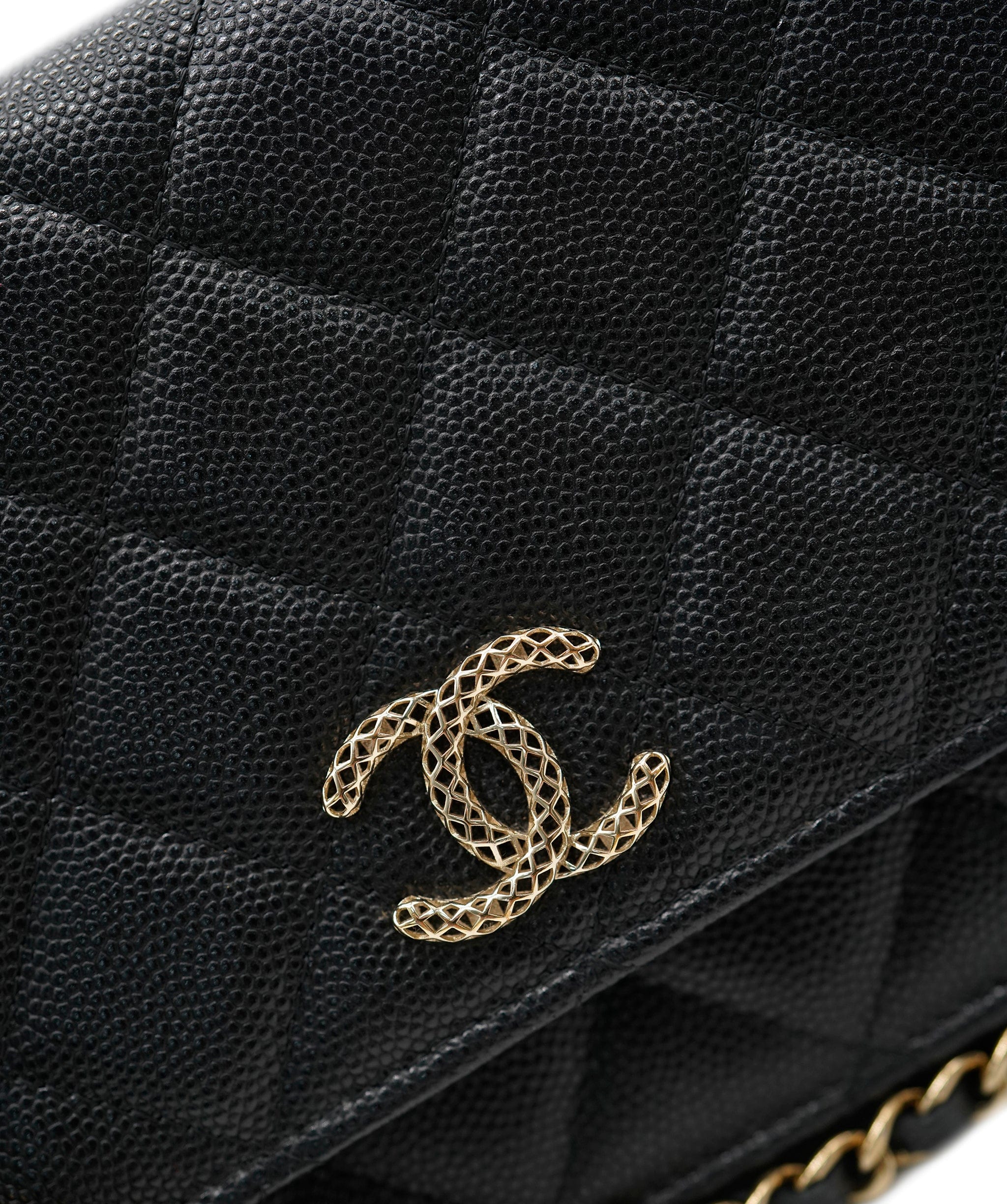 Chanel Chanel WOC ASL9953