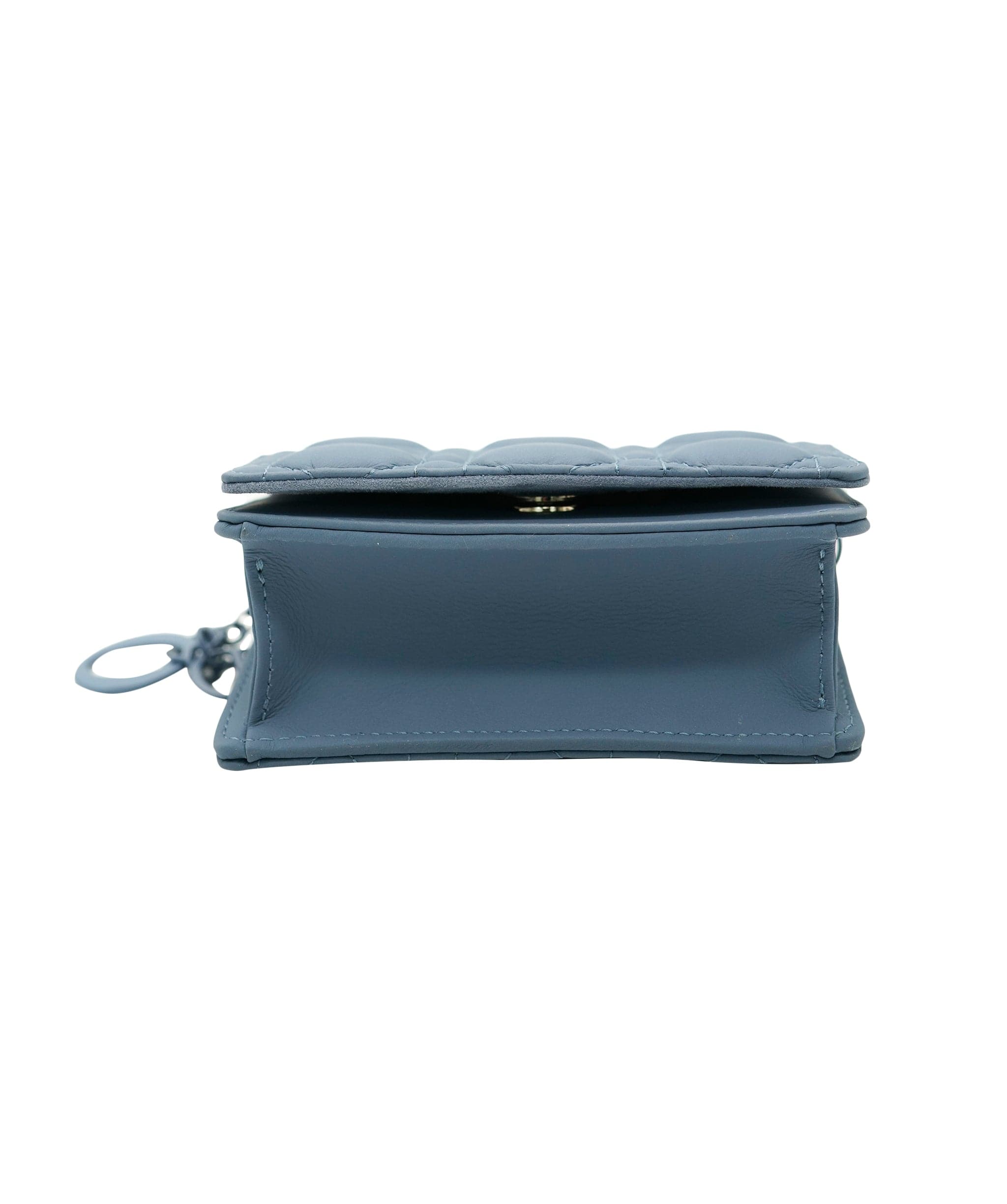 Christian Dior Dior powder blue Caro pouch with SHW - AJC0116