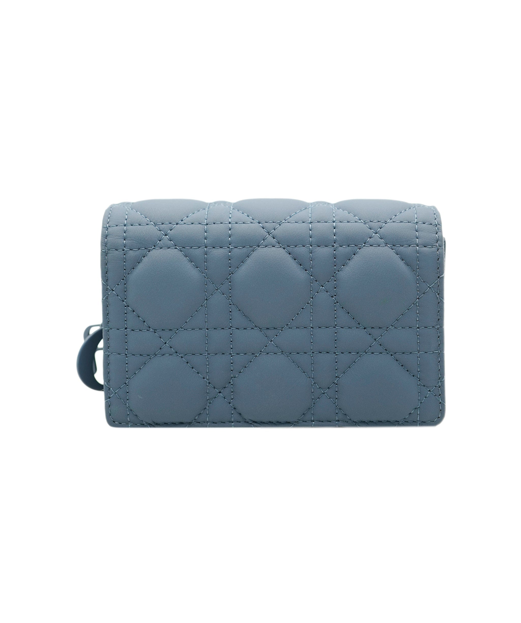 Christian Dior Dior powder blue Caro pouch with SHW - AJC0116