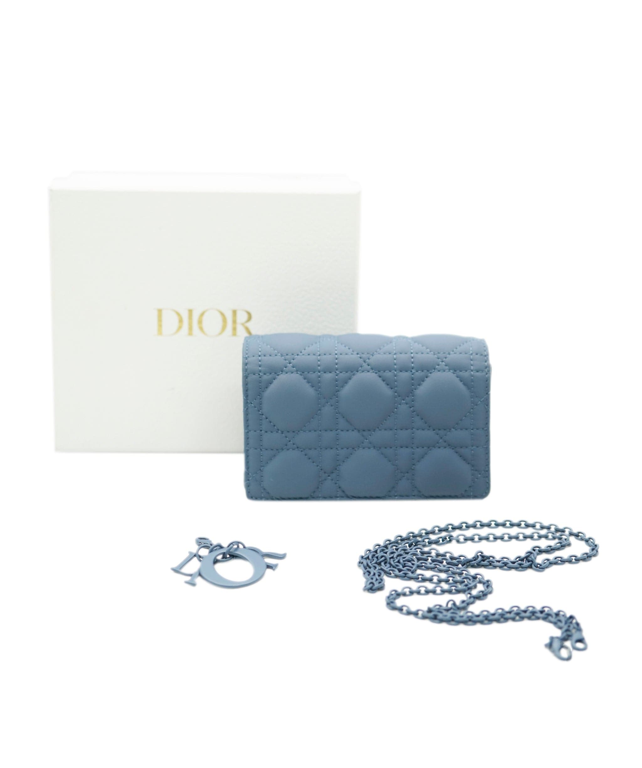 Christian Dior Dior powder blue Caro pouch with SHW - AJC0116