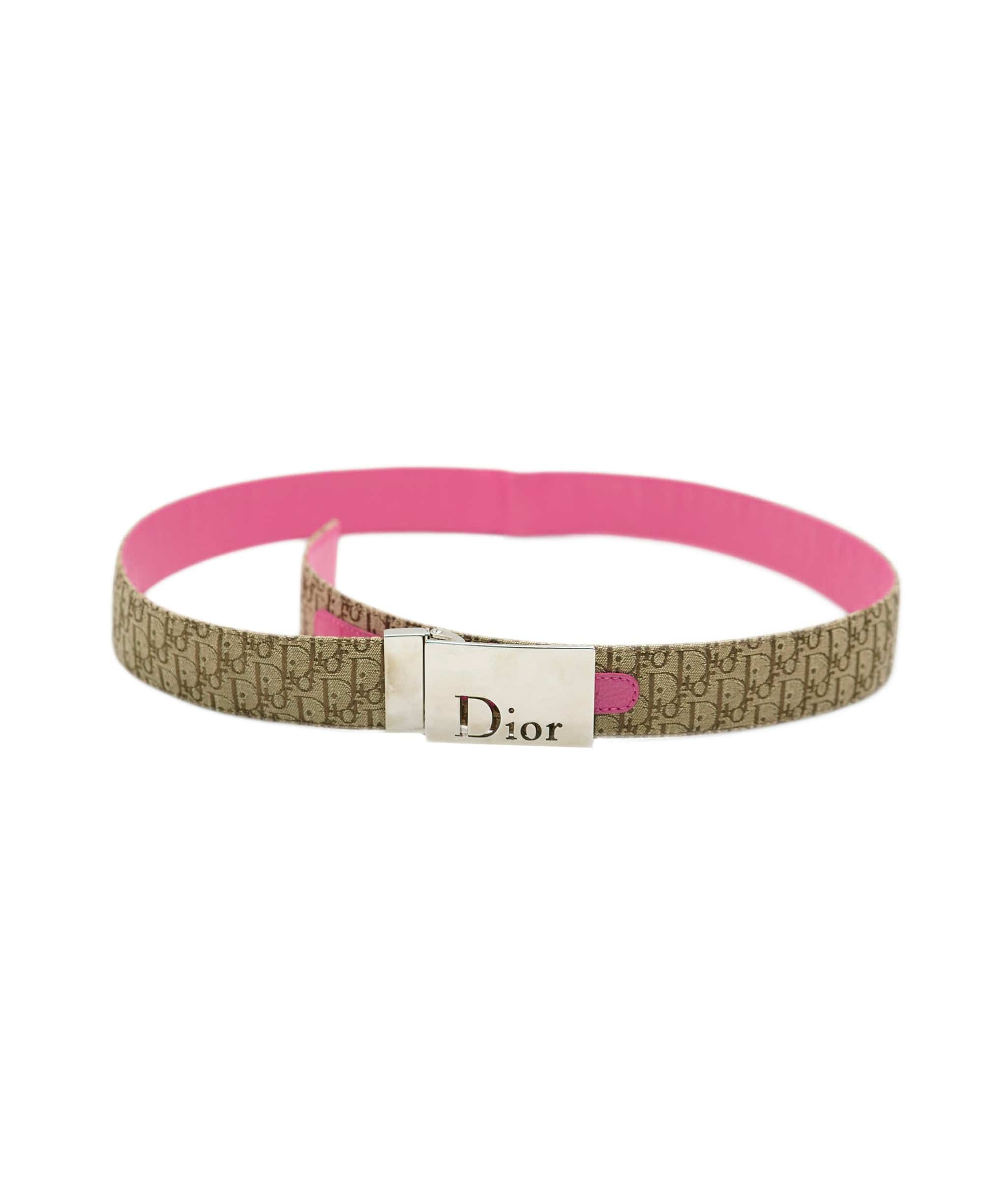 Christian Dior Dior Logo Plate Belt Beige Pink ASL8322