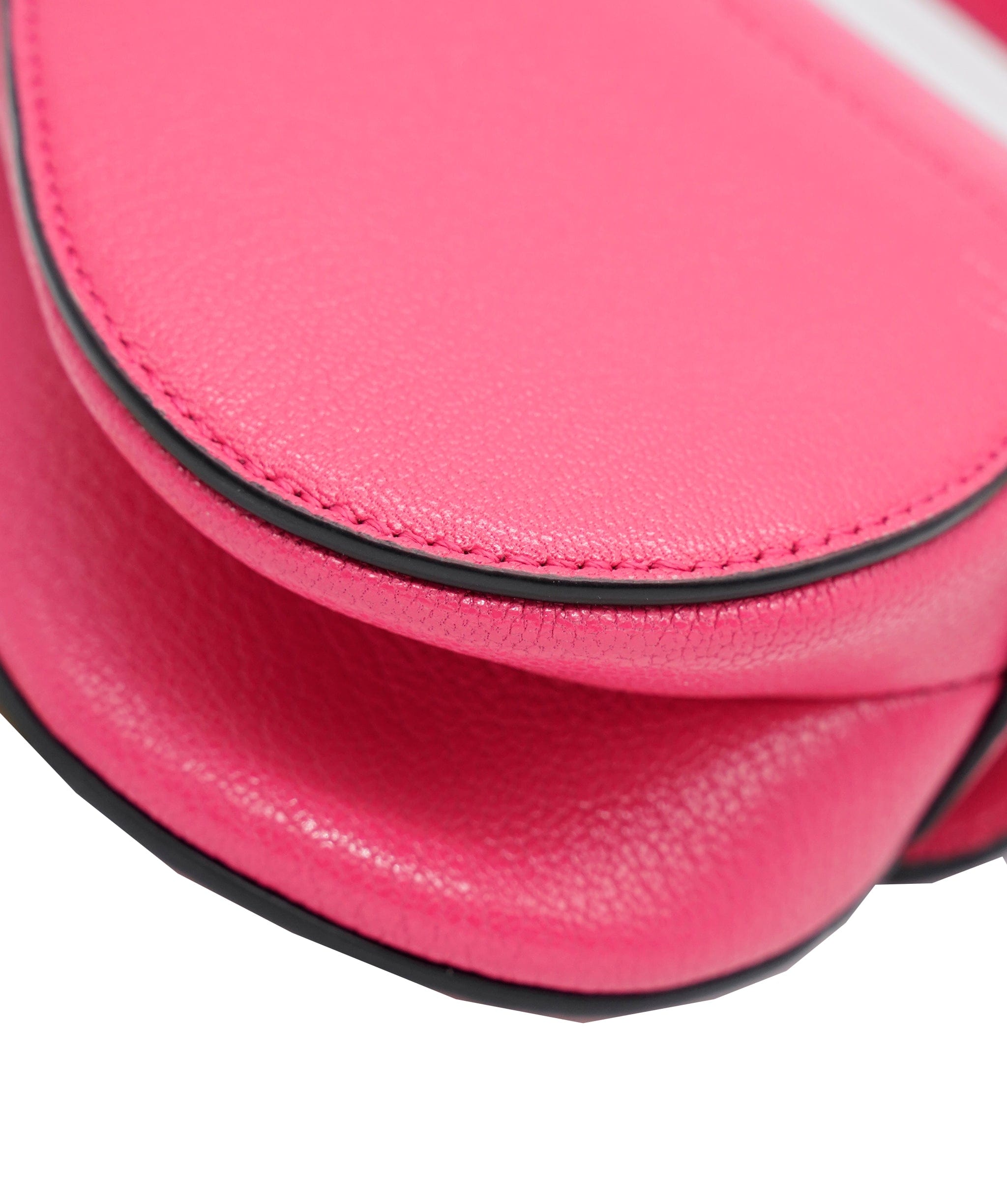 Dior Dior Hot Pink Mini Saddle - AJC0203