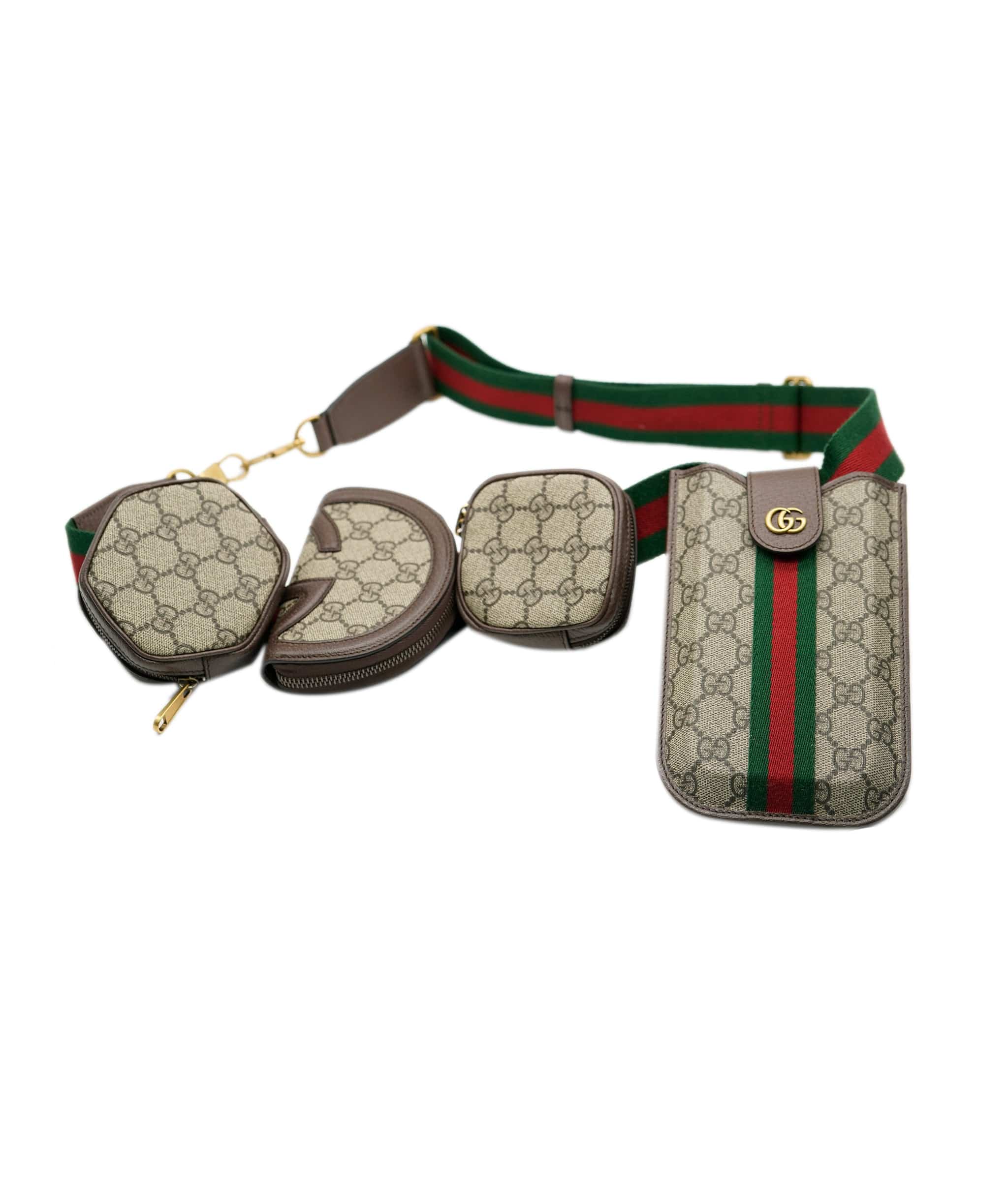 Gucci Gucci Belt Bag (5 pieces) ASC2315