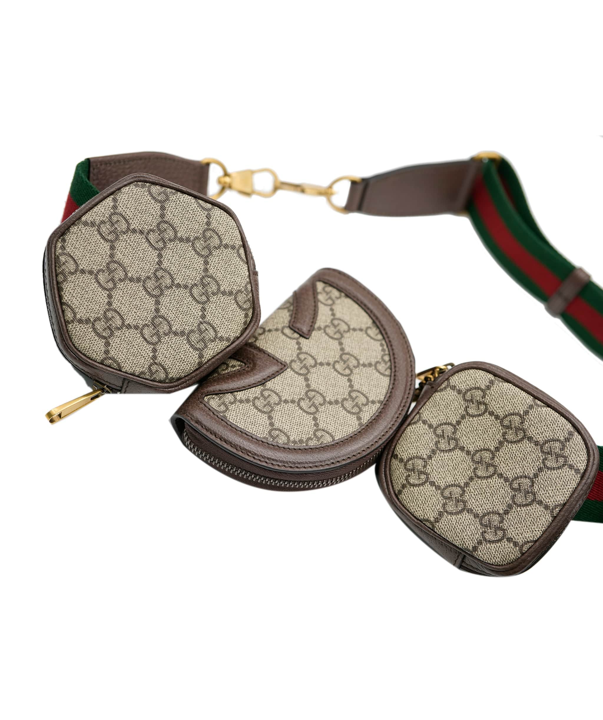 Gucci Gucci Belt Bag (5 pieces) ASC2315