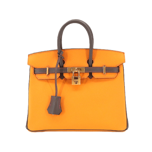 Hermès Hermes Birkin 25 HSS Jaune Dor / Taupe Epsom GHW #A ASL8698