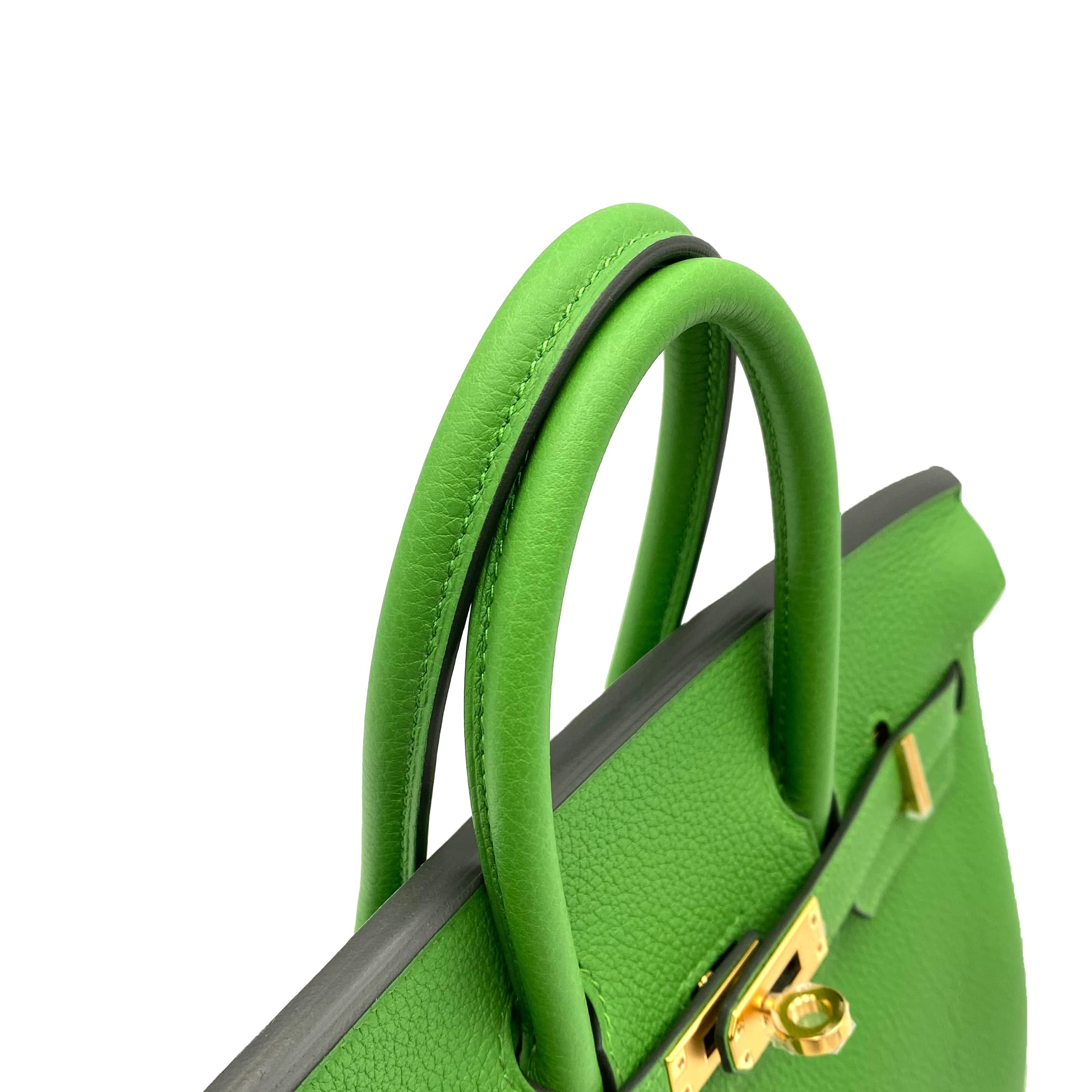 Hermès HERMES BIRKIN 25 VERT YUCCA TOGO HAND BAG B GHW 90231583