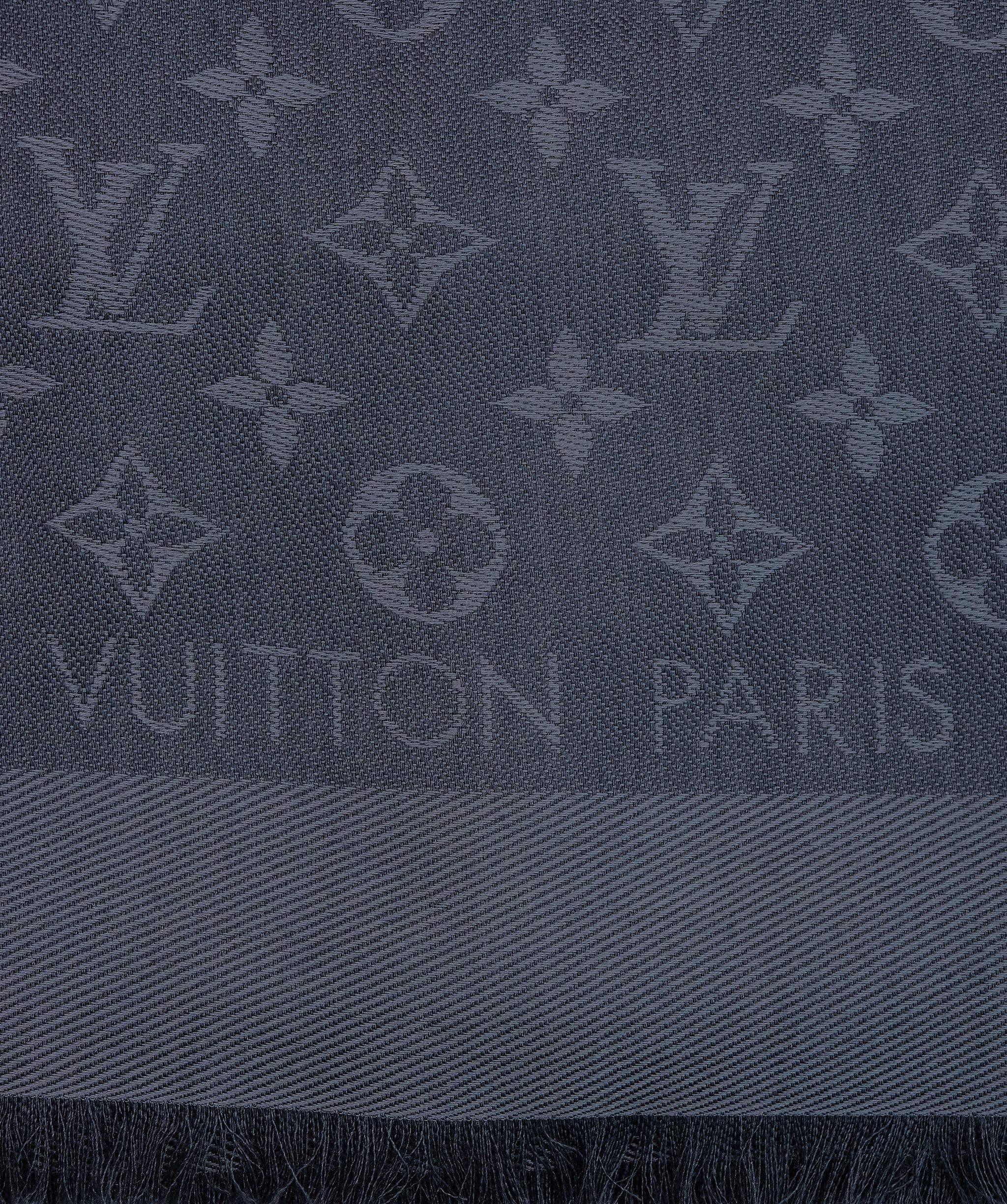 Louis Vuitton Louis Vuitton Shawl RJC2579