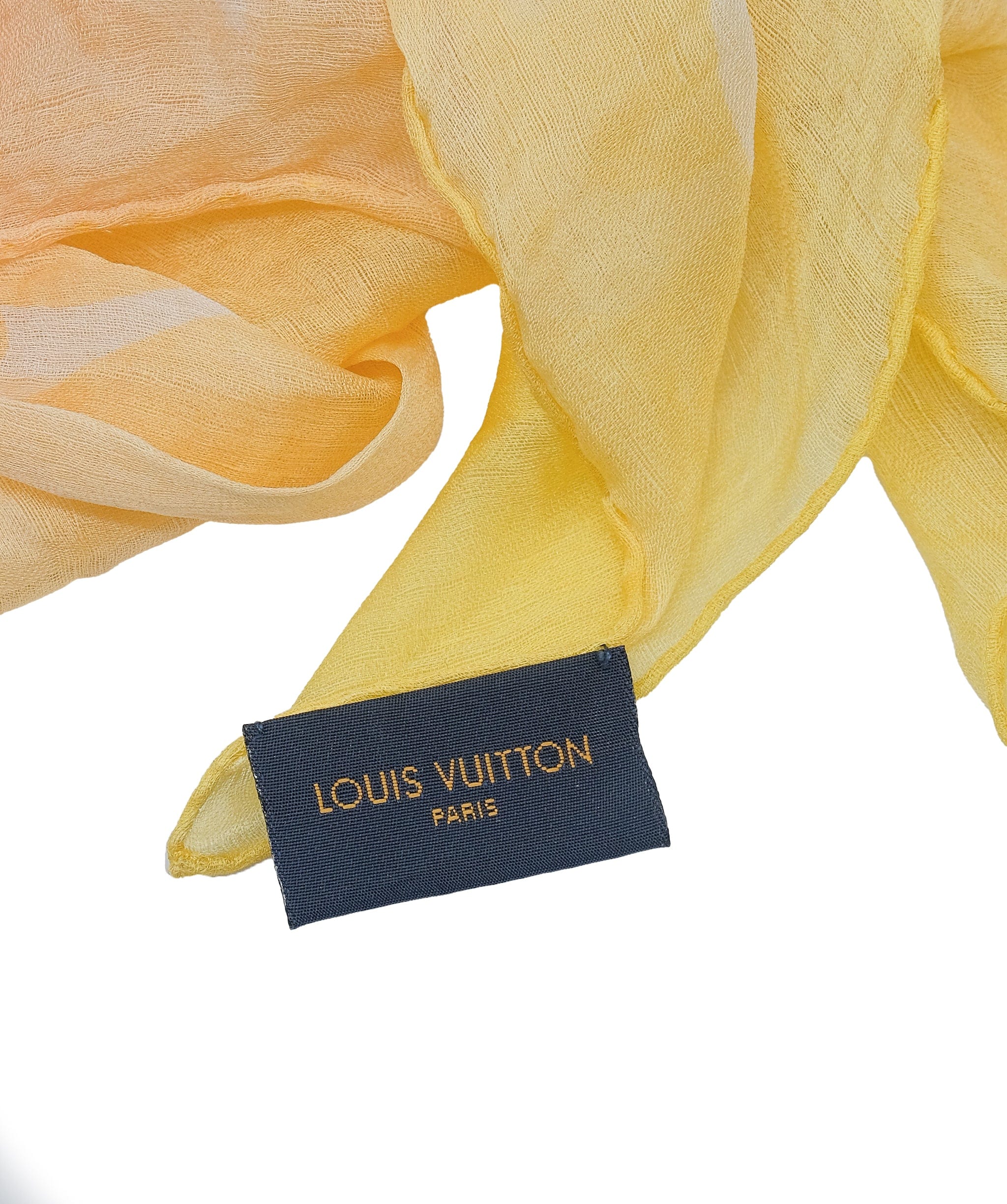 Louis Vuitton Louis Vuitton Scarf with buckle RJC3318