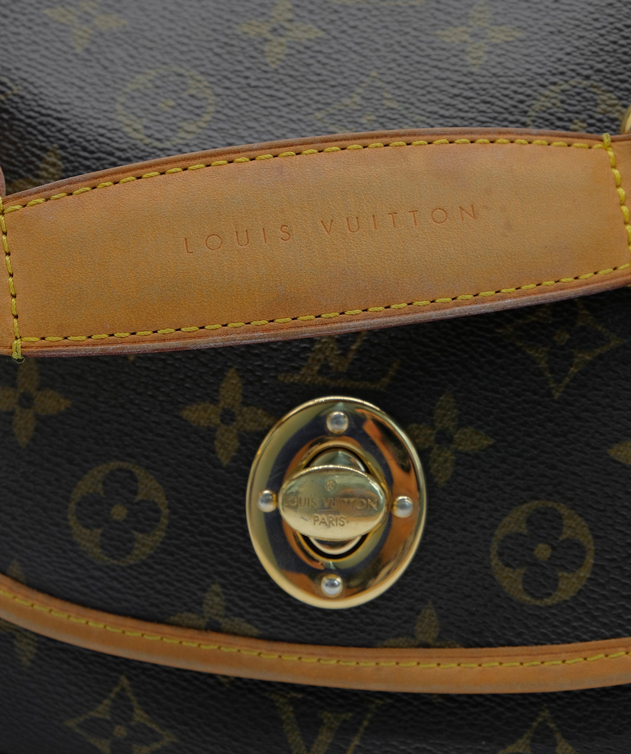 Louis Vuitton Louis Vuitton Messenger Bag RJC2550