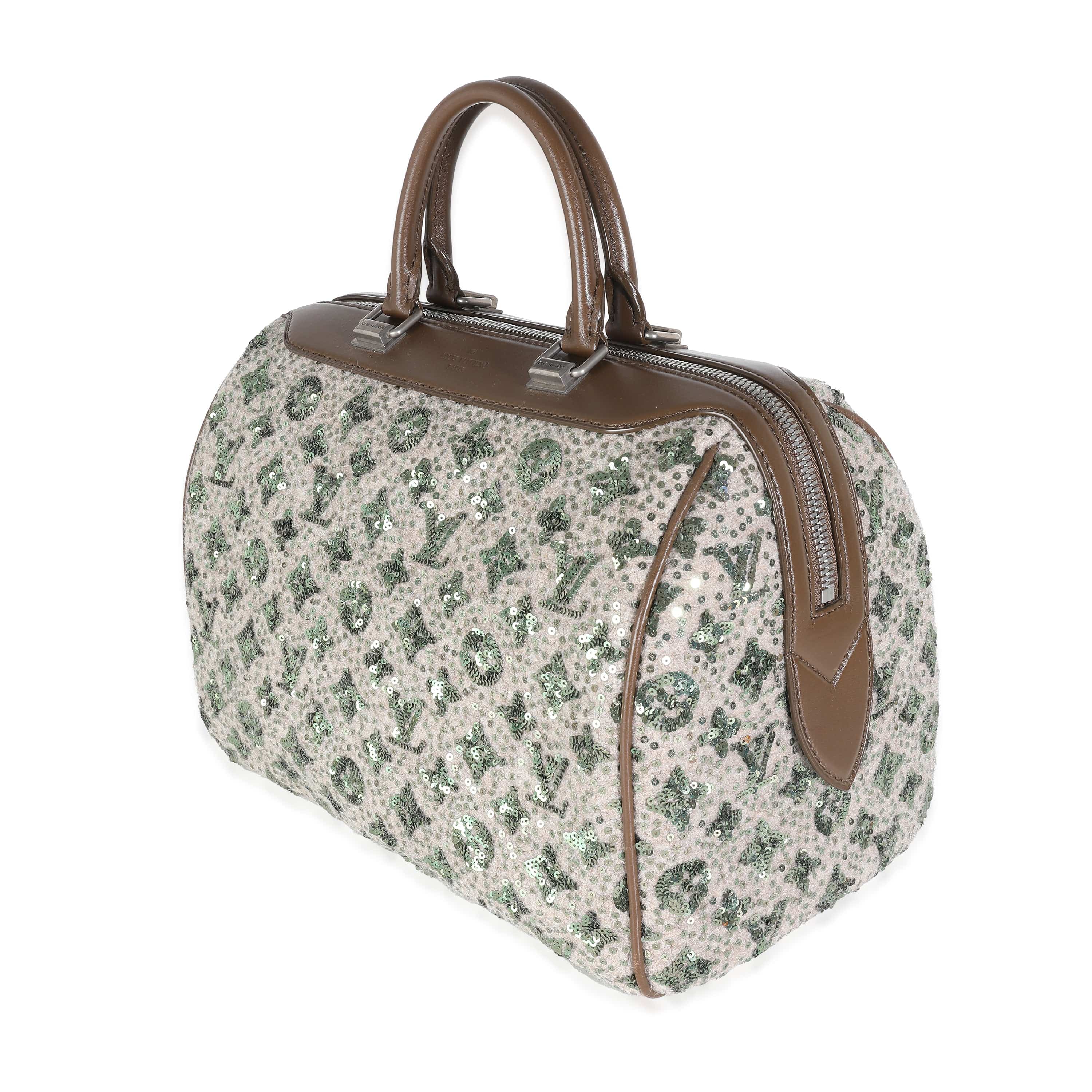 Louis Vuitton Louis Vuitton Special Edition 2012-2013 Runway Speedy 30 ULL1010