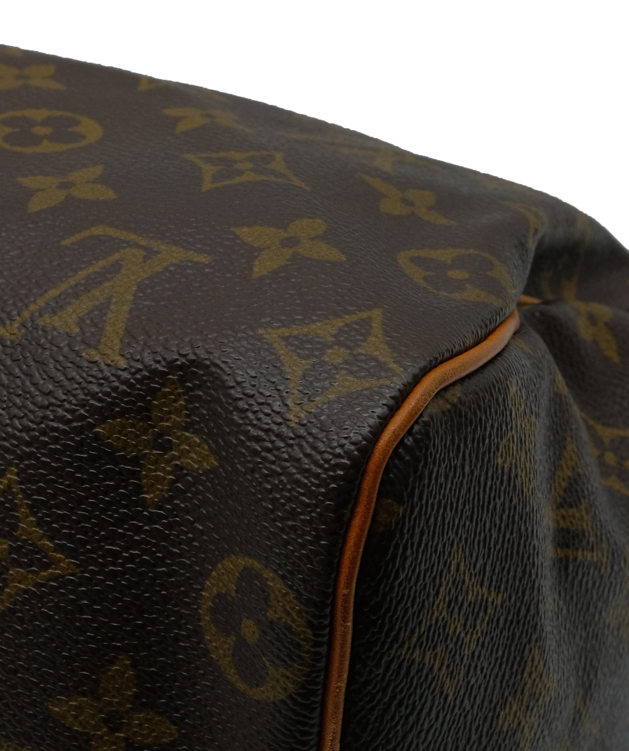 Louis Vuitton Louis Vuitton Speedy 25 with box and dustbag RJC2994