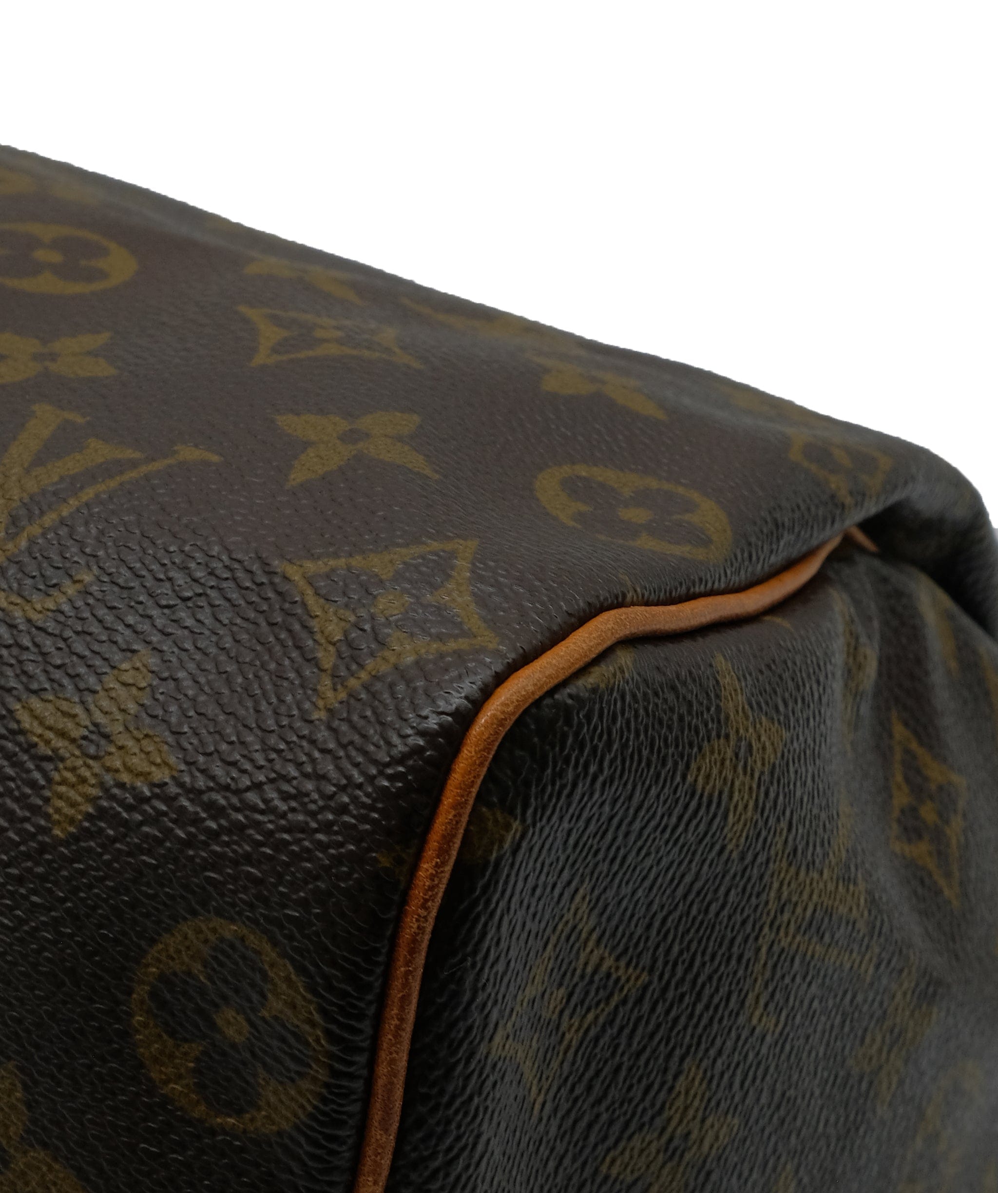 Louis Vuitton Louis Vuitton Speedy 25 with box and dustbag RJC2994