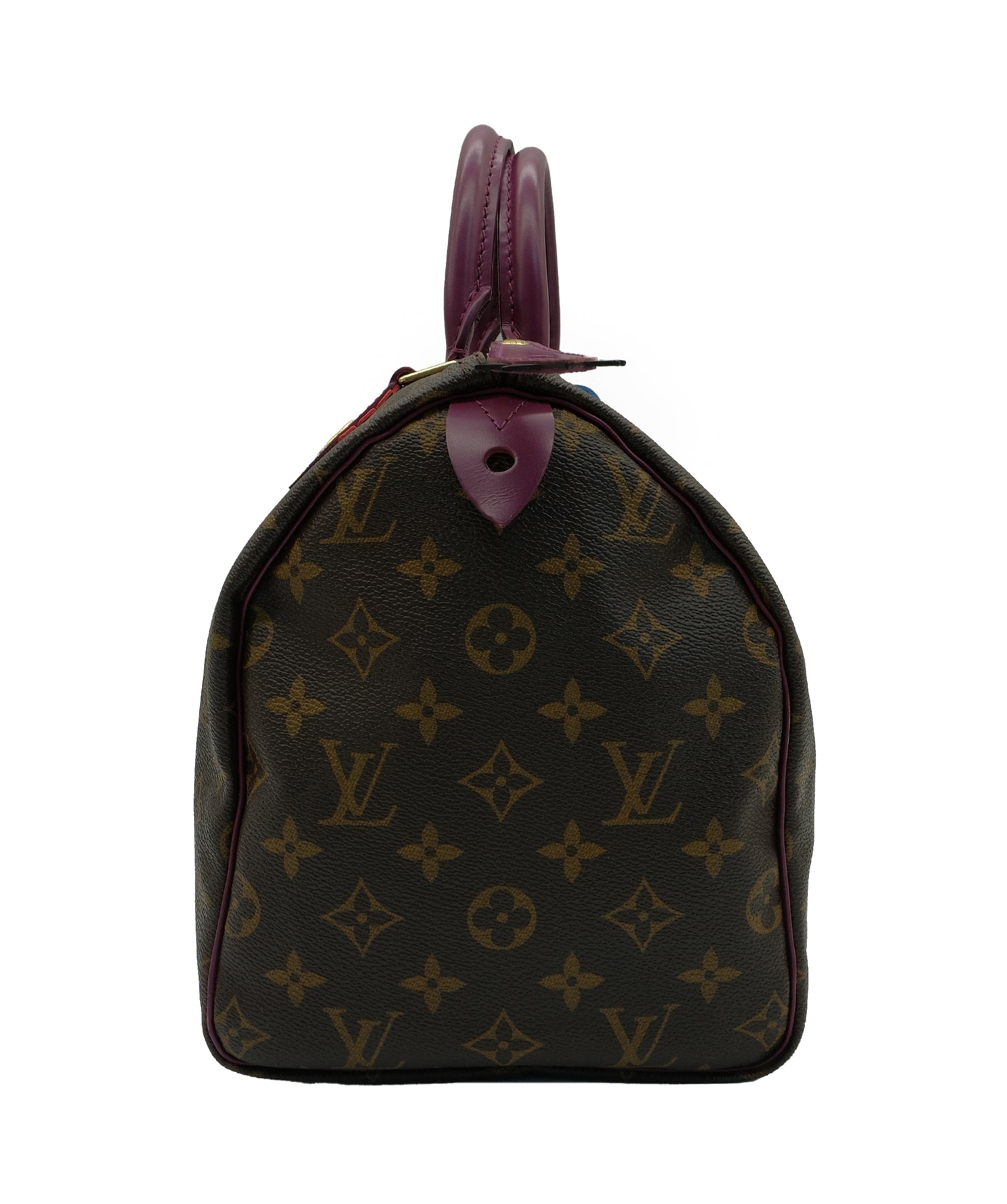 Louis Vuitton Louis Vuitton Speedy 30 Limited Edition RJC2373