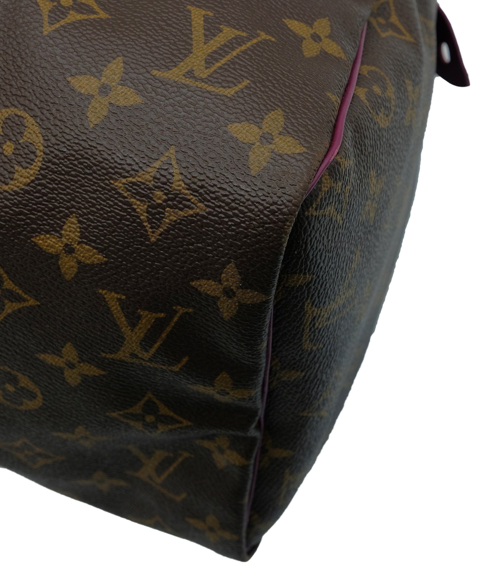 Louis Vuitton Louis Vuitton Speedy 30 Limited Edition RJC2373