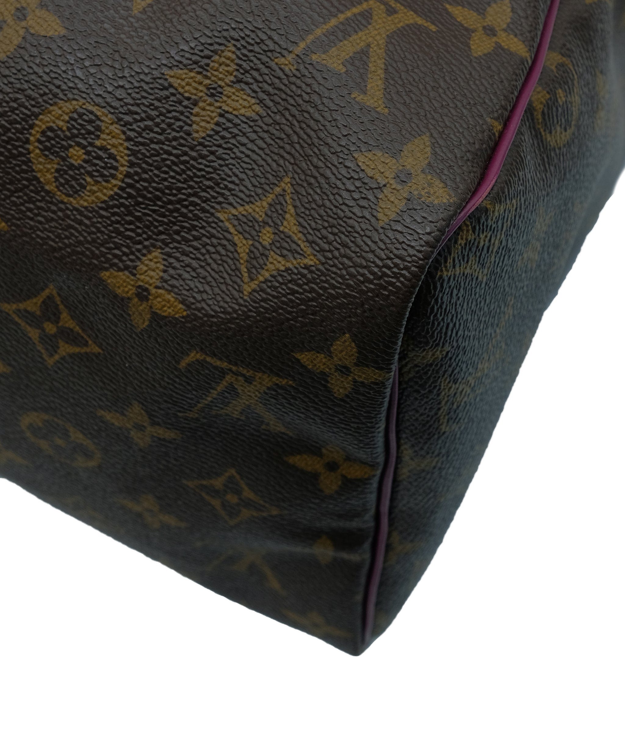 Louis Vuitton Louis Vuitton Speedy 30 Limited Edition RJC2373