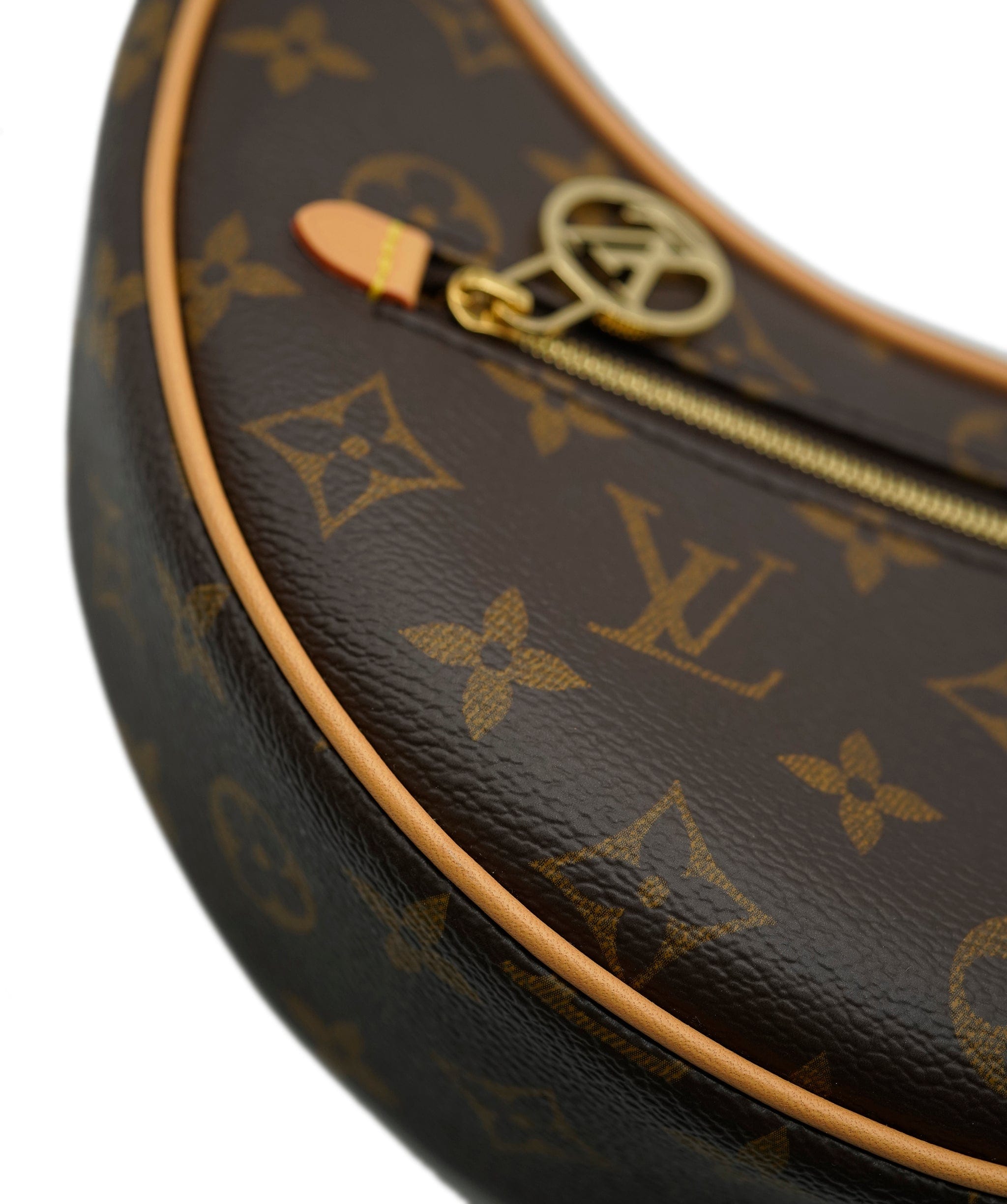 Louis Vuitton LV Monogram Canvas LoopASC2305