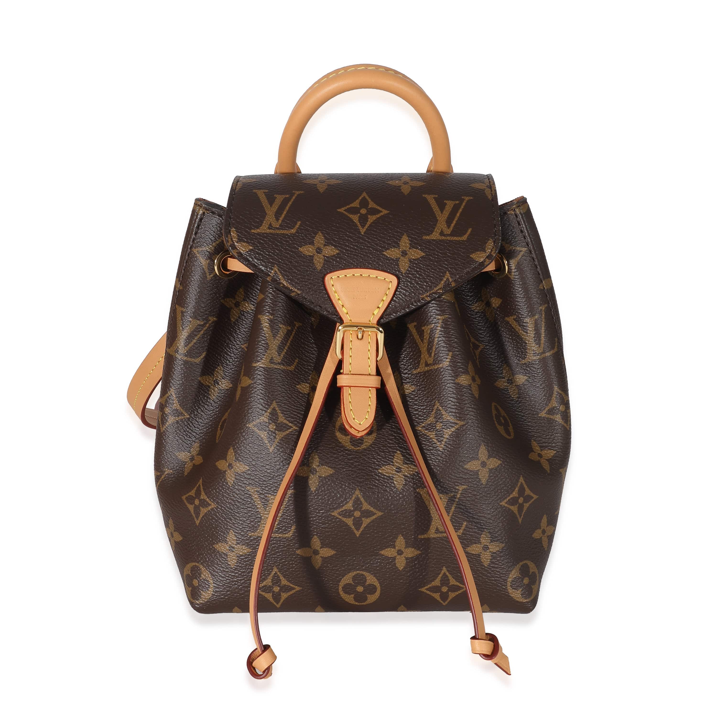 Louis Vuitton Louis Vuitton Monogram Canvas Montsouris BB 