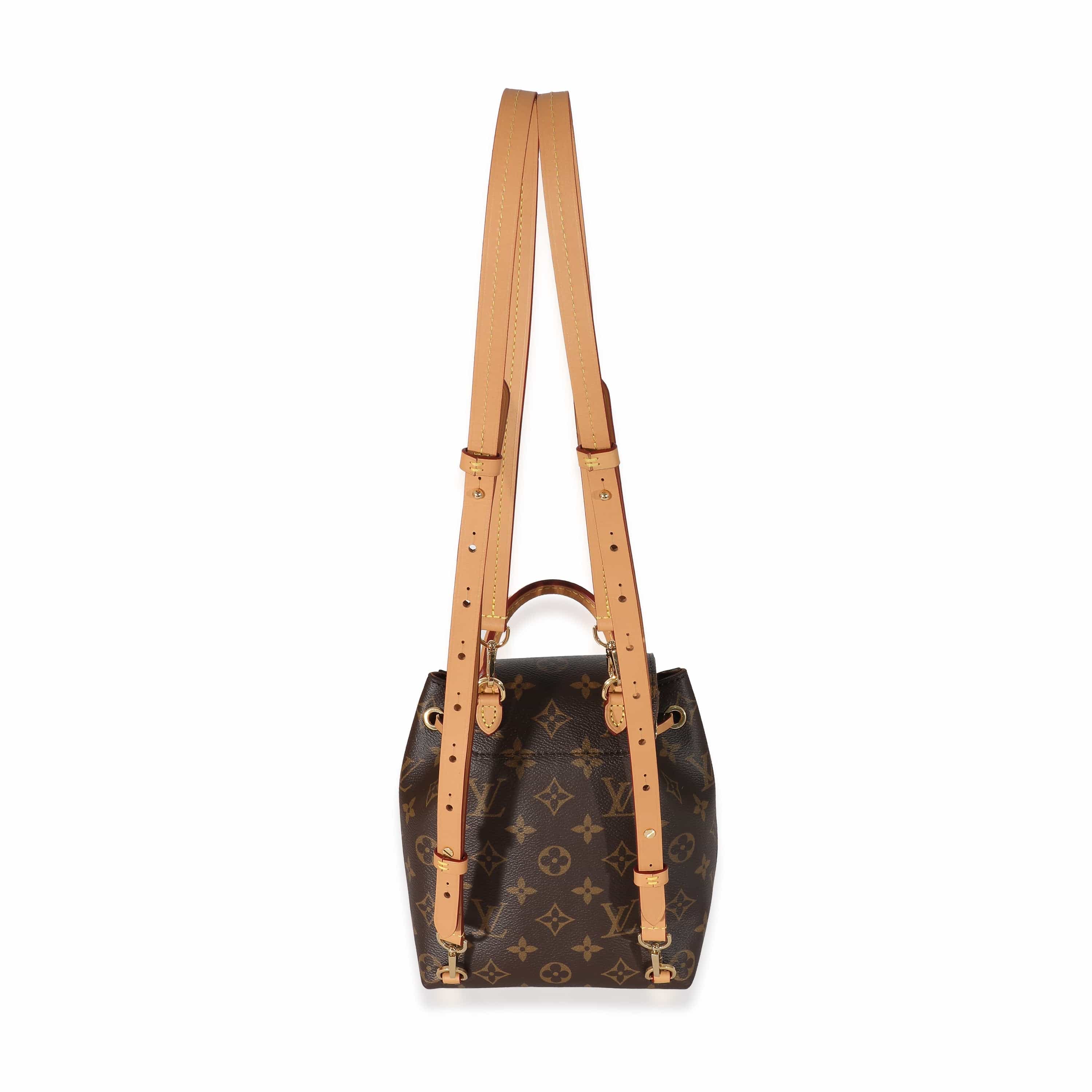 Louis Vuitton Louis Vuitton Monogram Canvas Montsouris BB 