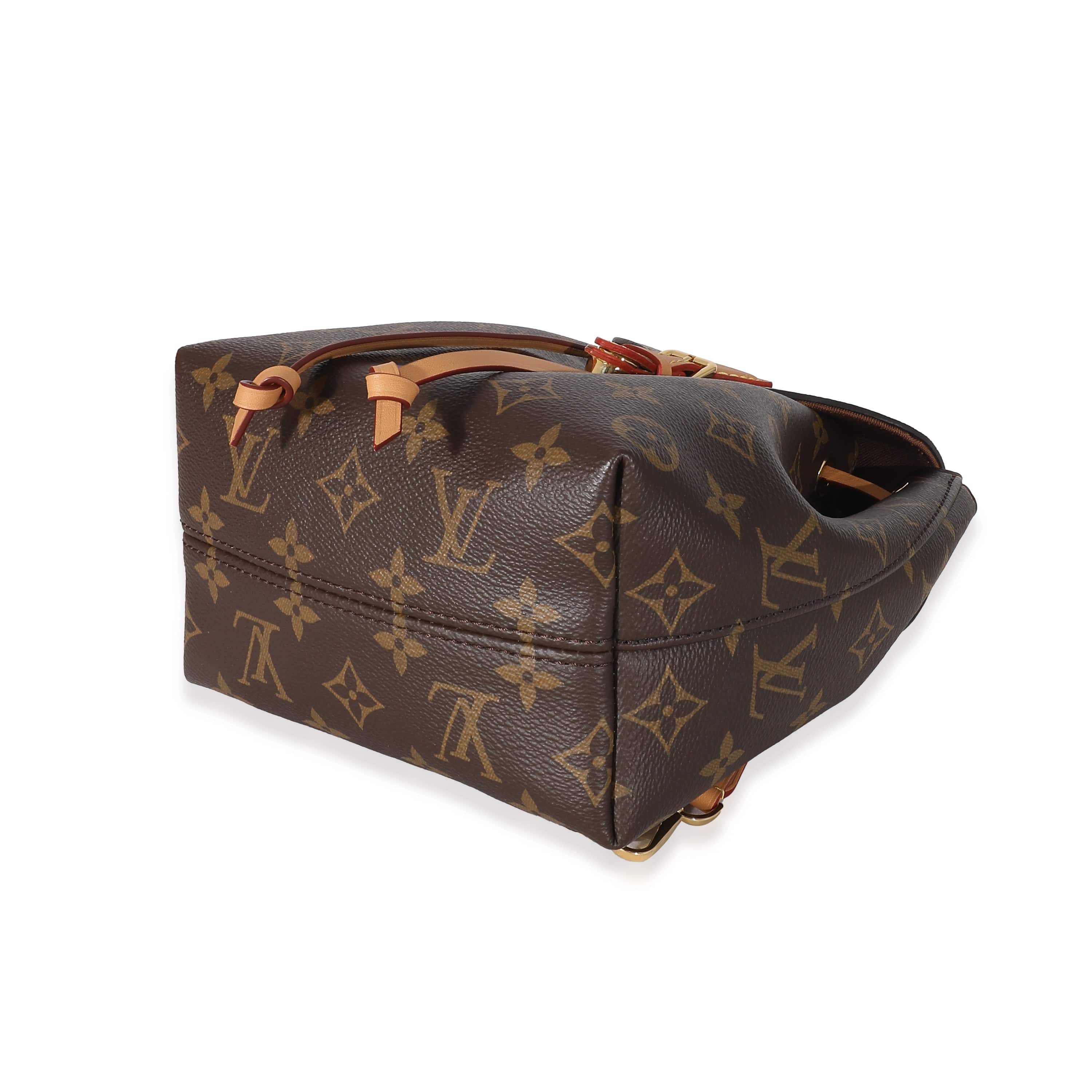 Louis Vuitton Louis Vuitton Monogram Canvas Montsouris BB 