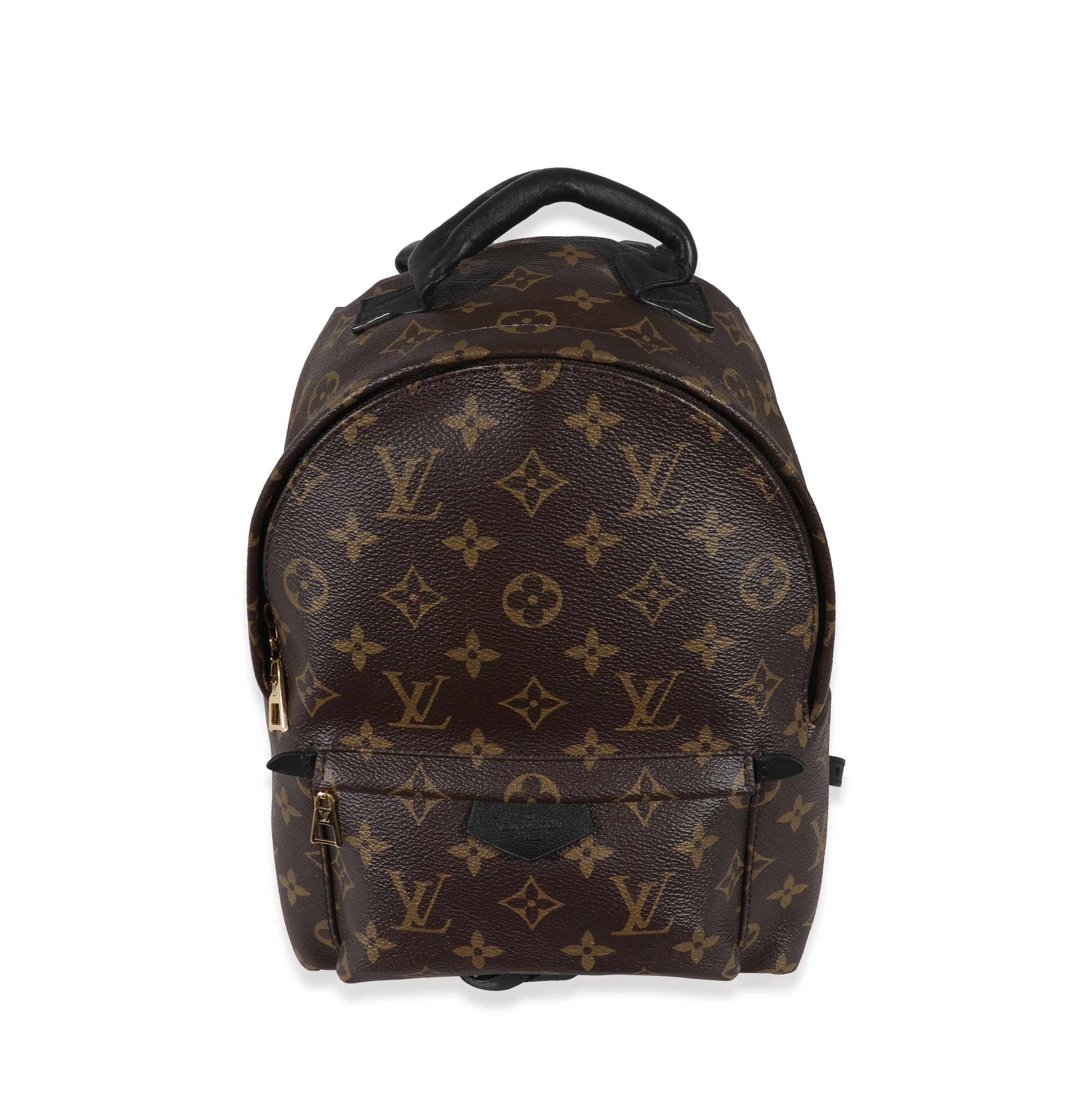 Louis Vuitton Louis Vuitton Monogram Canvas Palm Springs PM