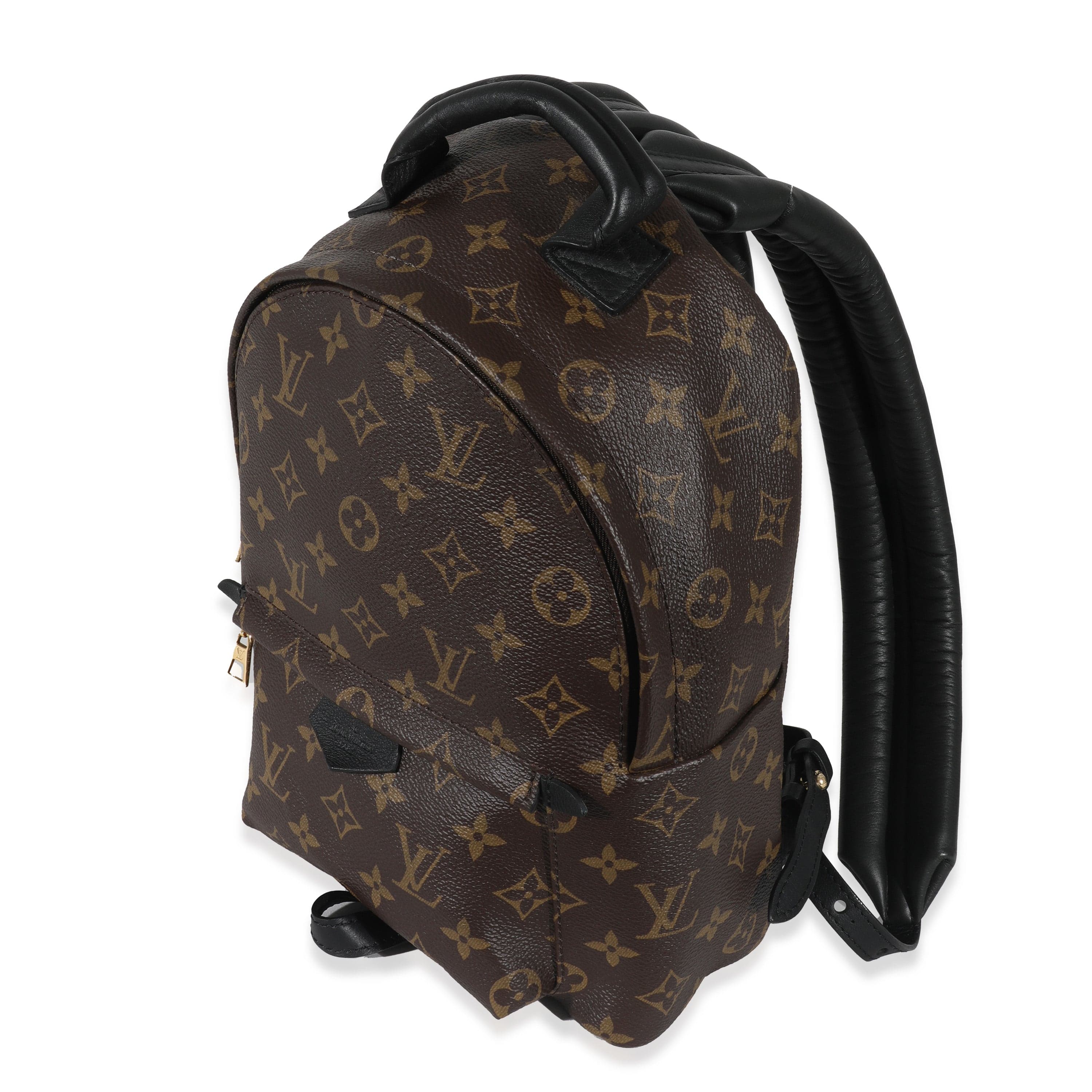 Louis Vuitton Louis Vuitton Monogram Canvas Palm Springs PM