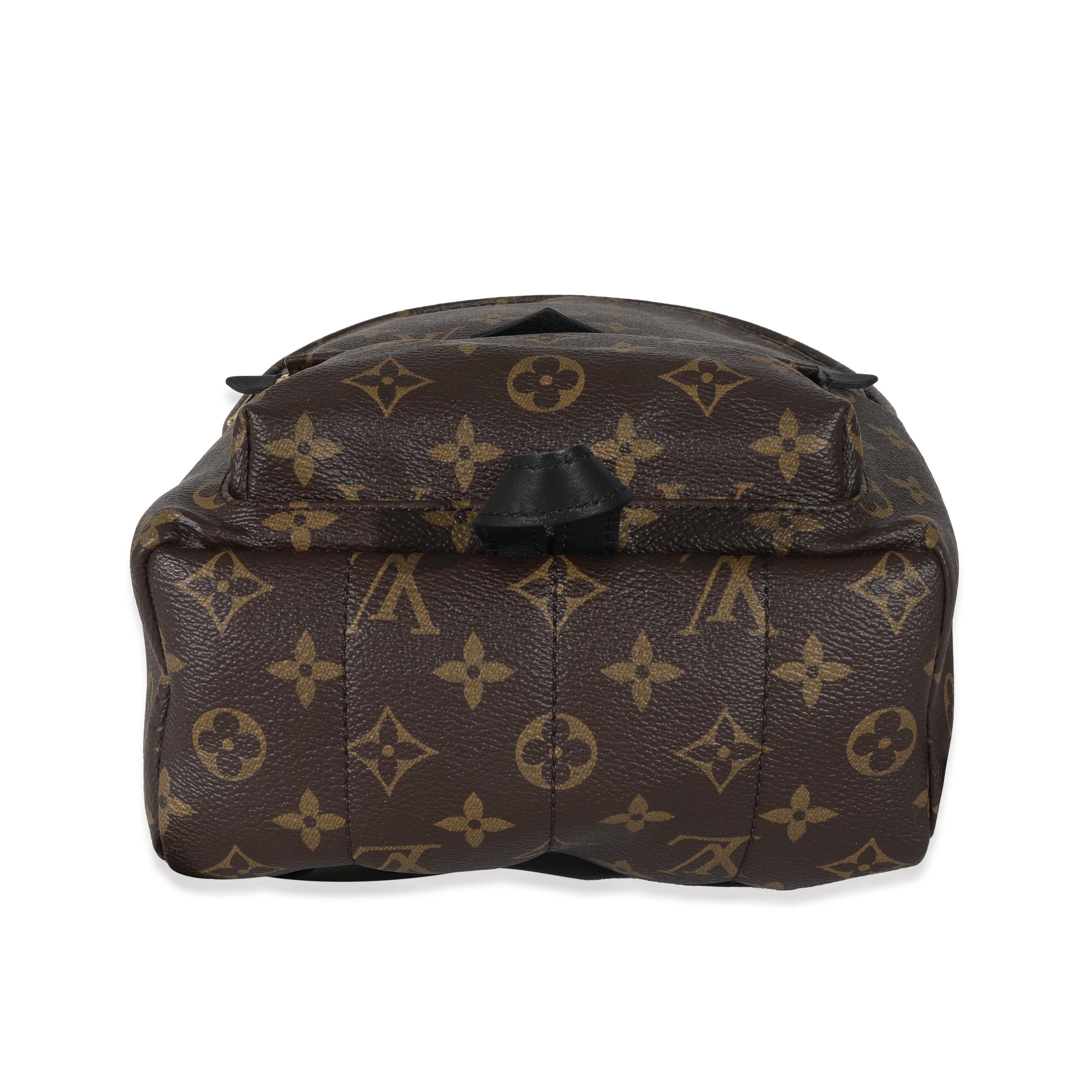 Louis Vuitton Louis Vuitton Monogram Canvas Palm Springs PM