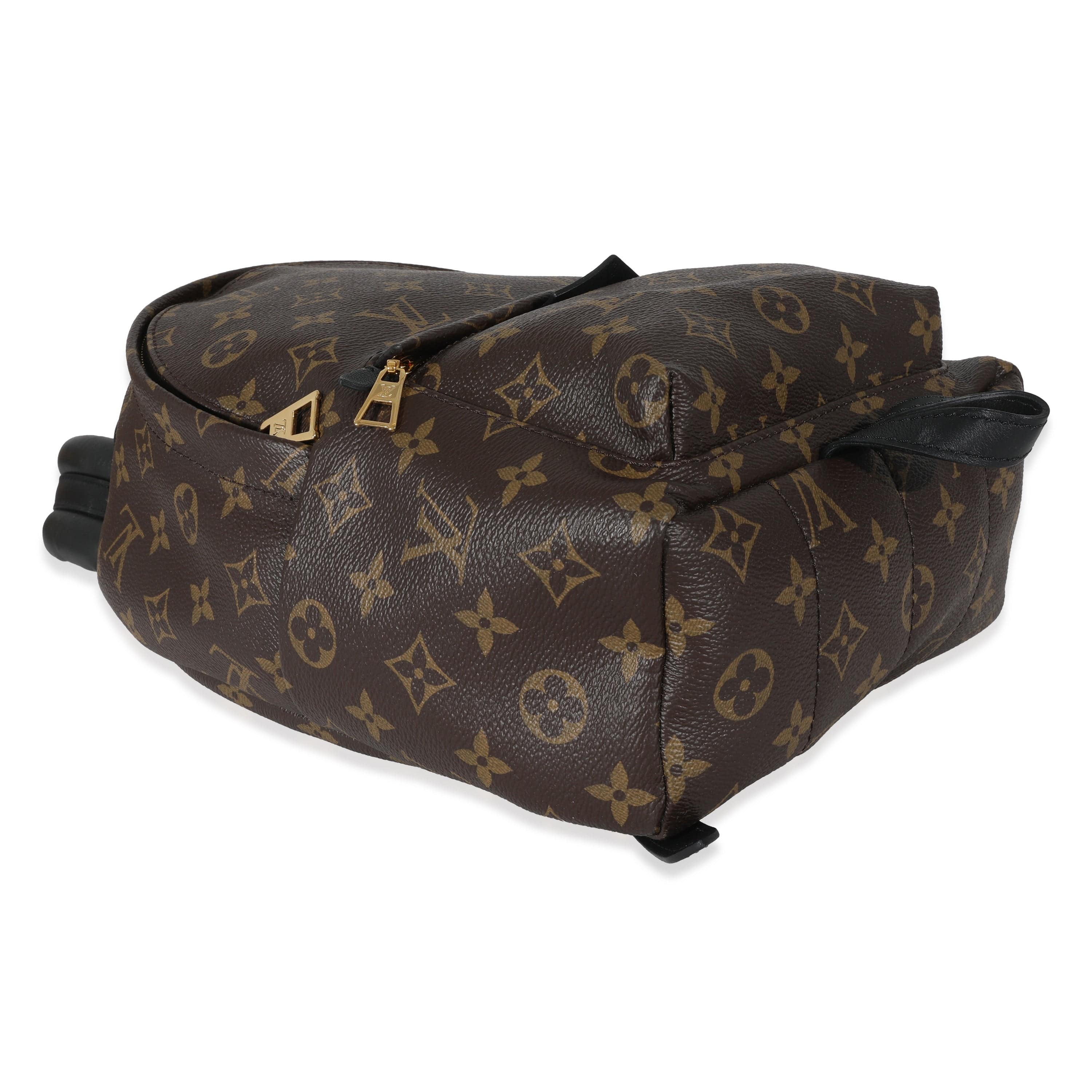 Louis Vuitton Louis Vuitton Monogram Canvas Palm Springs PM