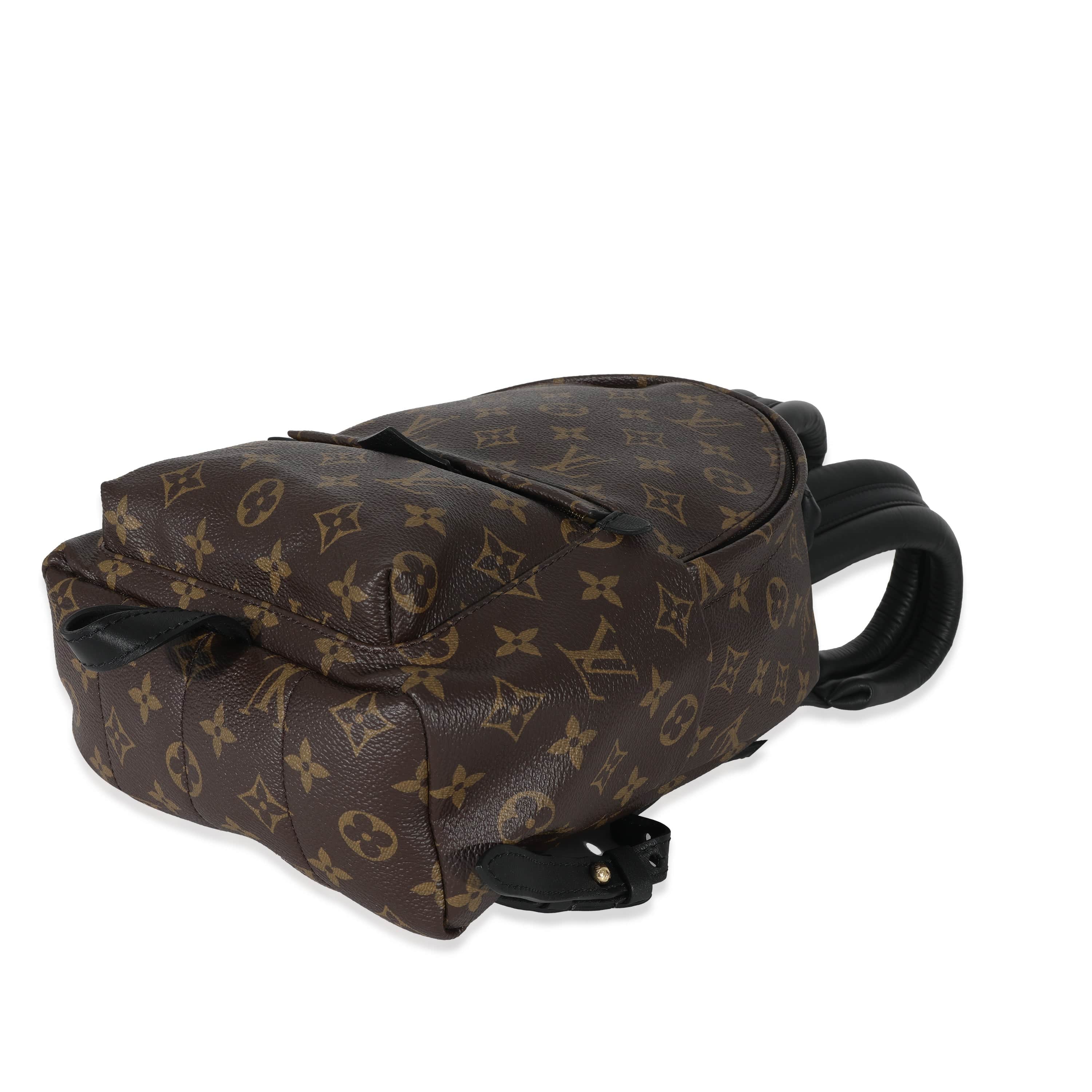 Louis Vuitton Louis Vuitton Monogram Canvas Palm Springs PM