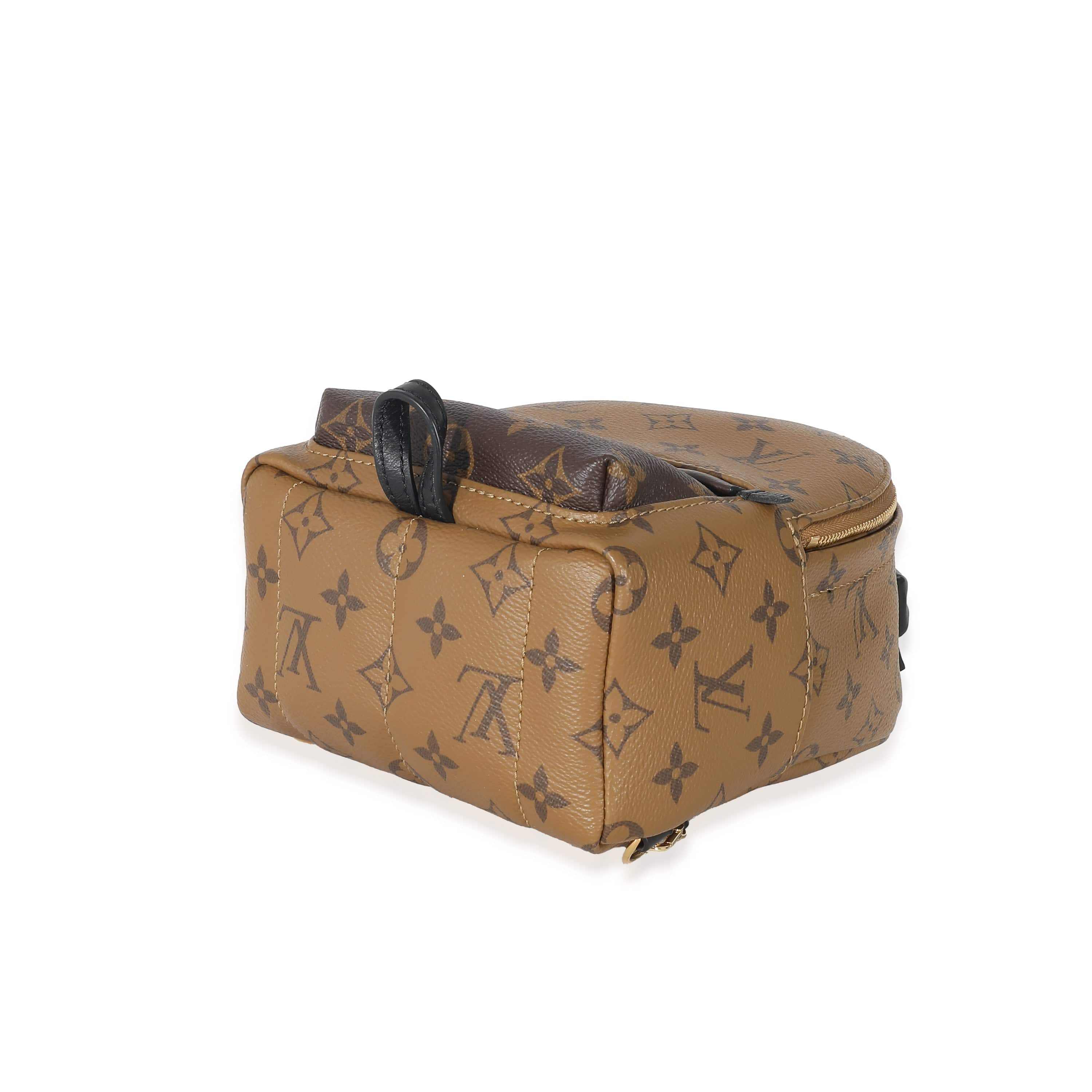 Louis Vuitton Louis Vuitton Reverse Monogram Canvas Mini Palm Springs Backpack