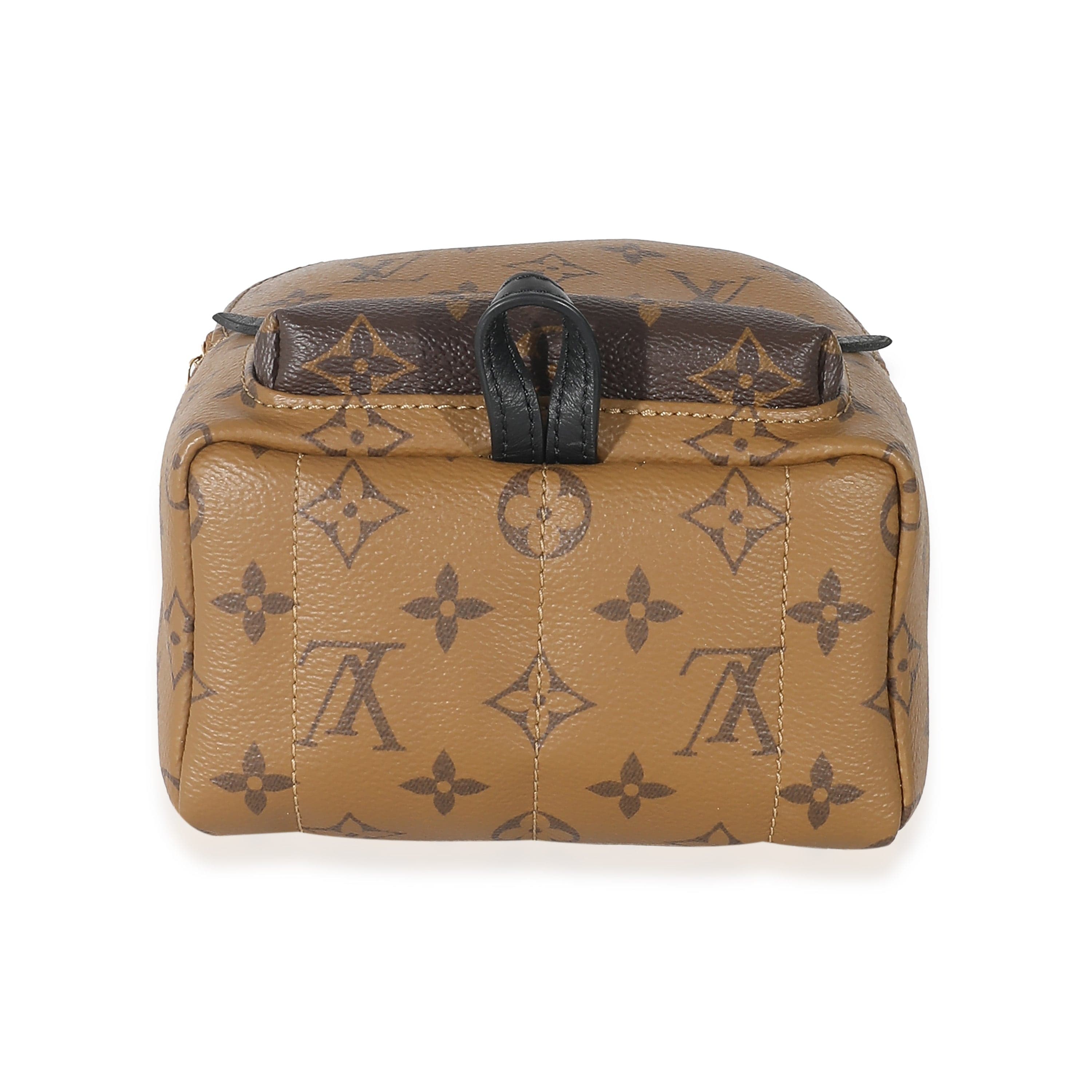 Louis Vuitton Louis Vuitton Reverse Monogram Canvas Mini Palm Springs Backpack