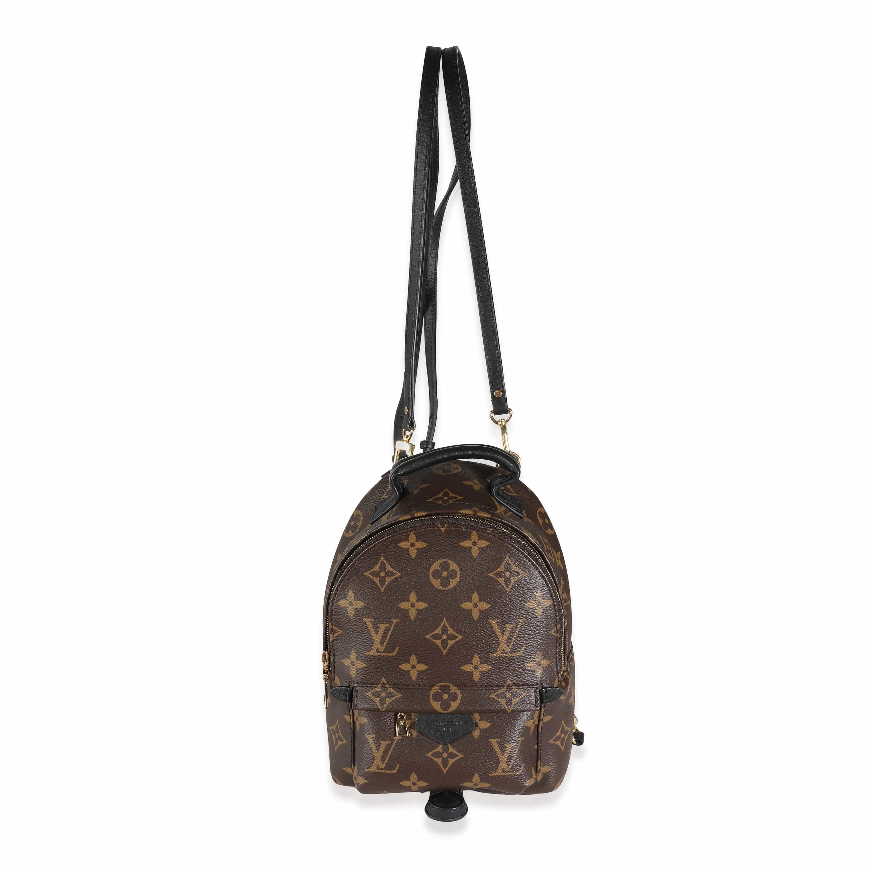 Louis Vuitton Monogram Canvas Mini Palm Springs