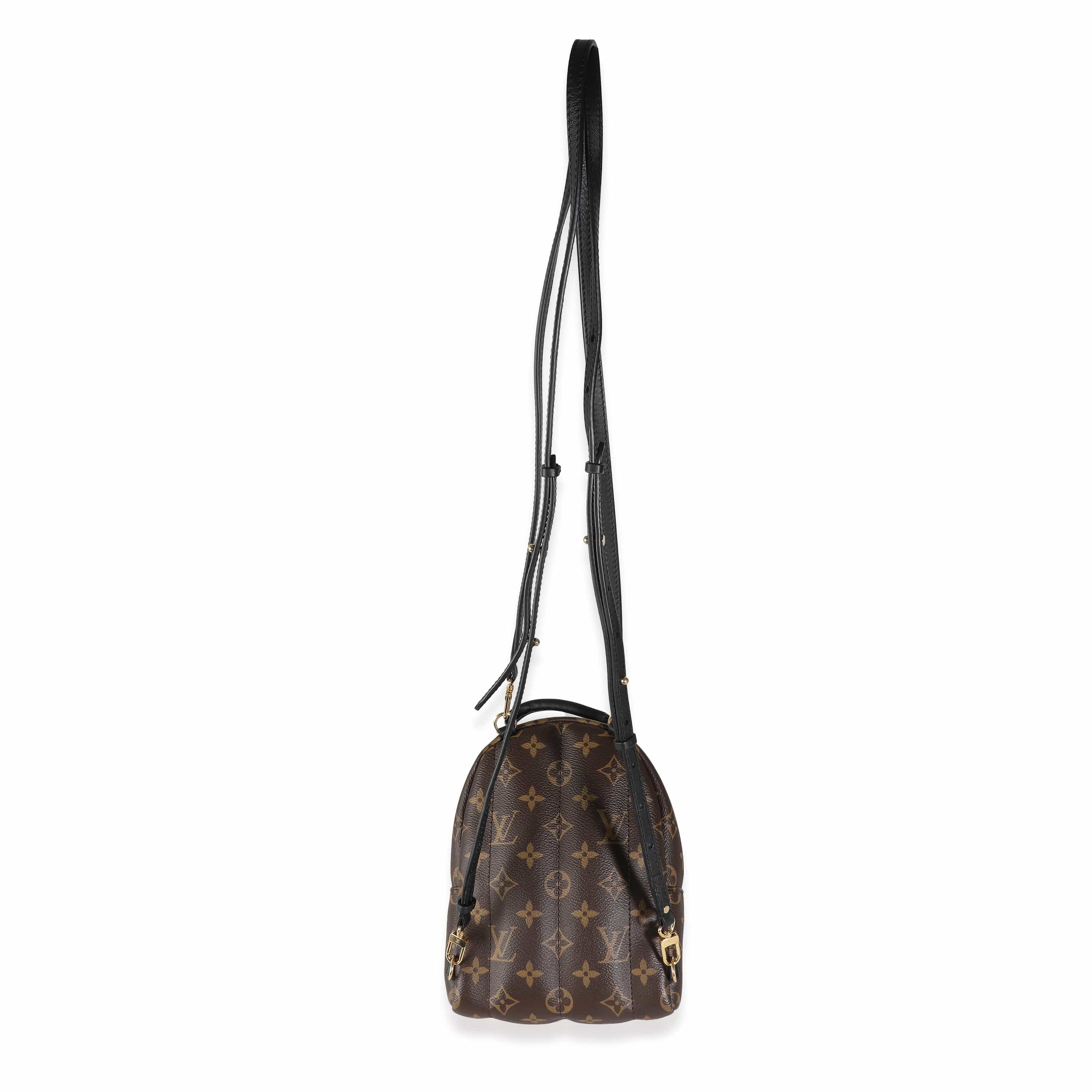 Louis Vuitton Monogram Canvas Mini Palm Springs