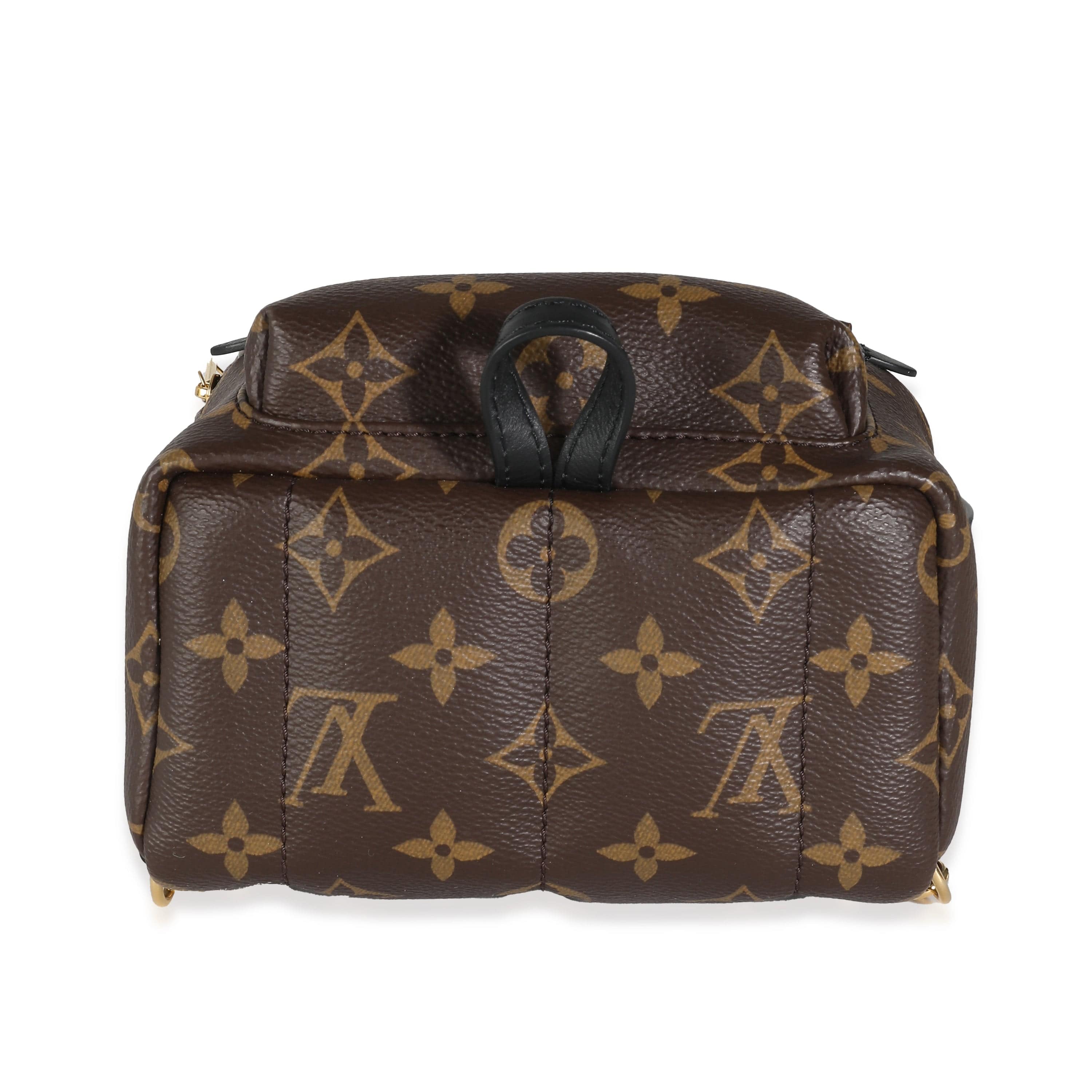 Louis Vuitton Monogram Canvas Mini Palm Springs