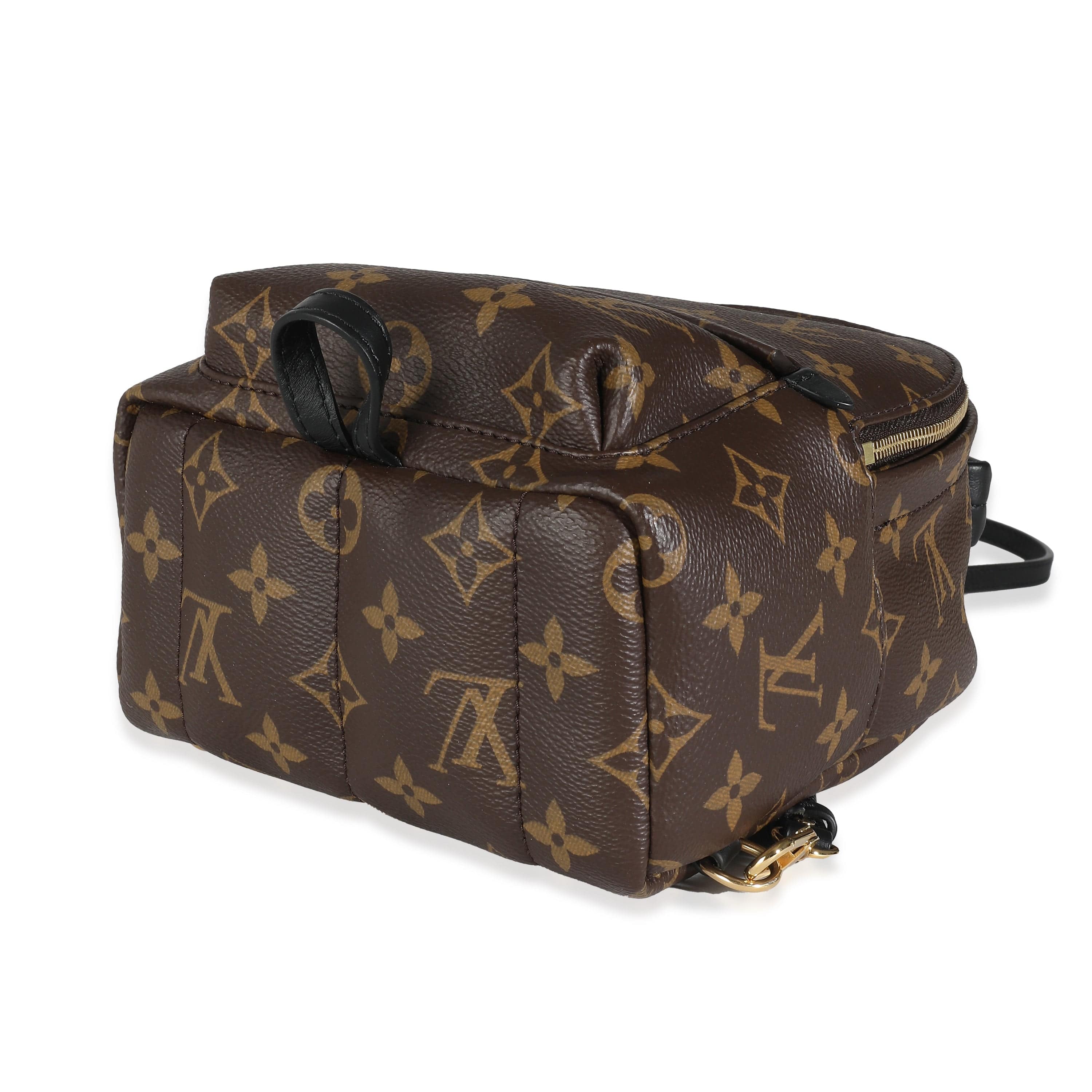 Louis Vuitton Monogram Canvas Mini Palm Springs