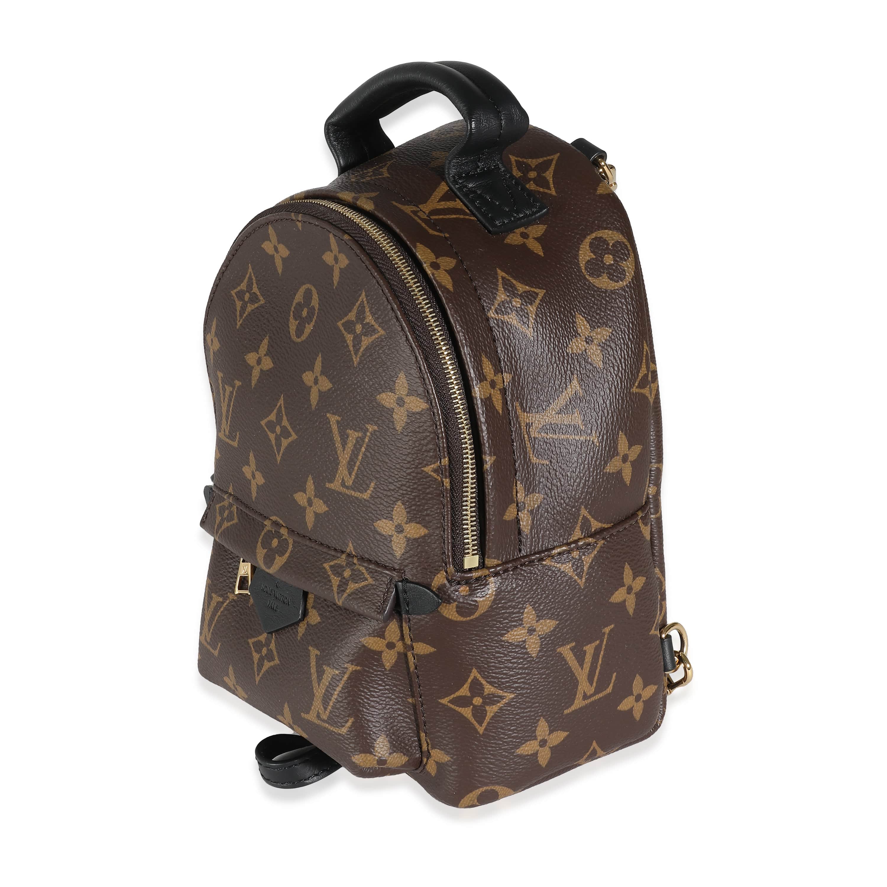 Louis Vuitton Monogram Canvas Mini Palm Springs