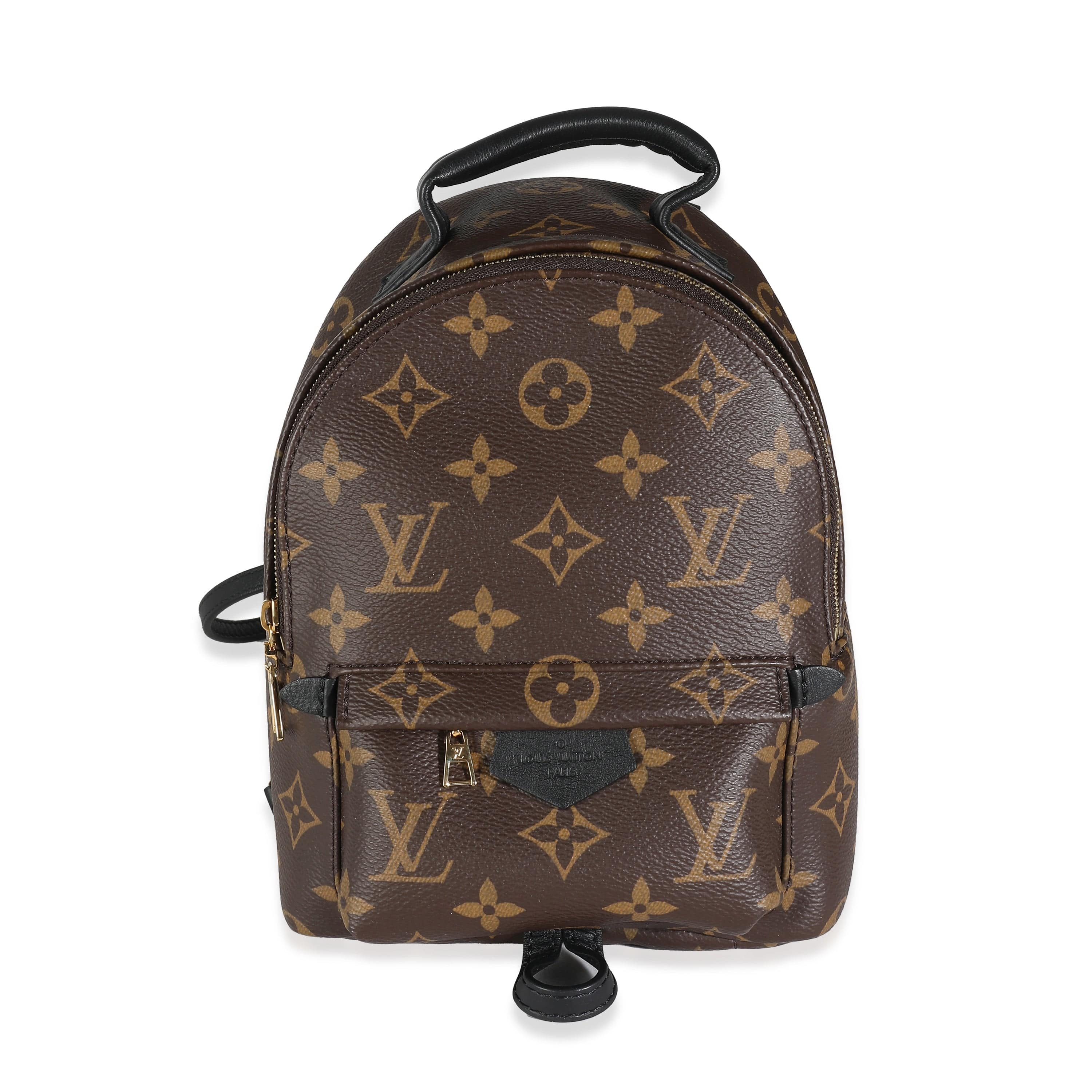 Louis Vuitton Monogram Canvas Mini Palm Springs