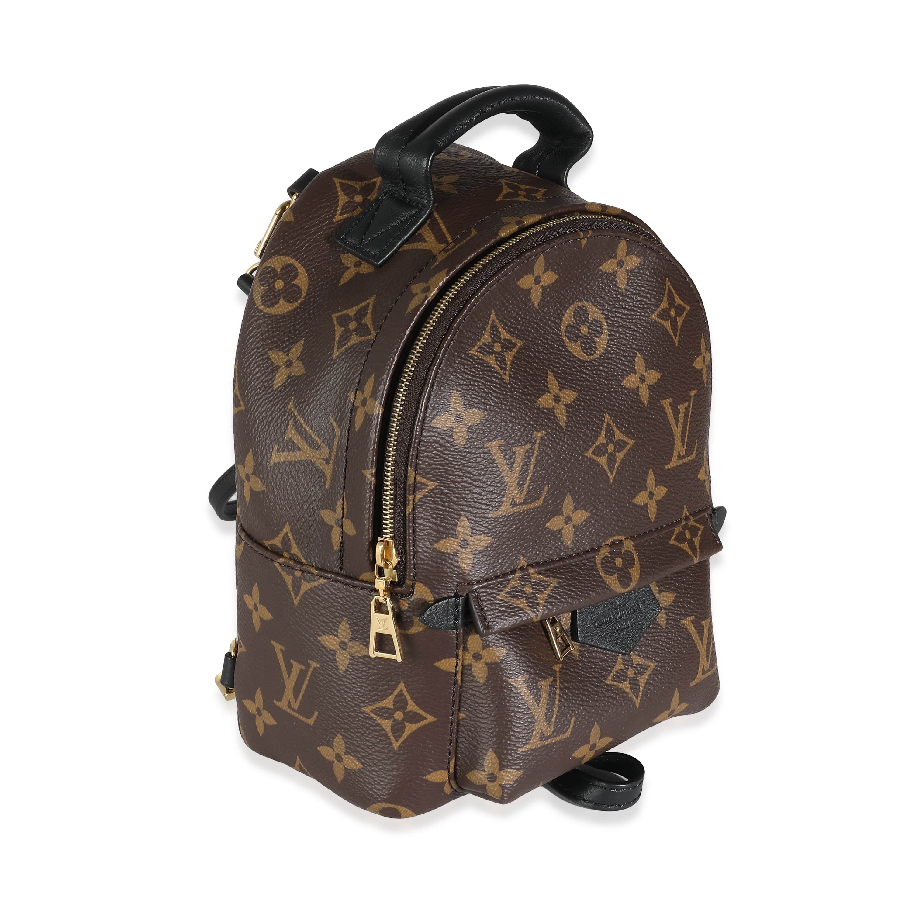 Louis Vuitton Monogram Canvas Mini Palm Springs