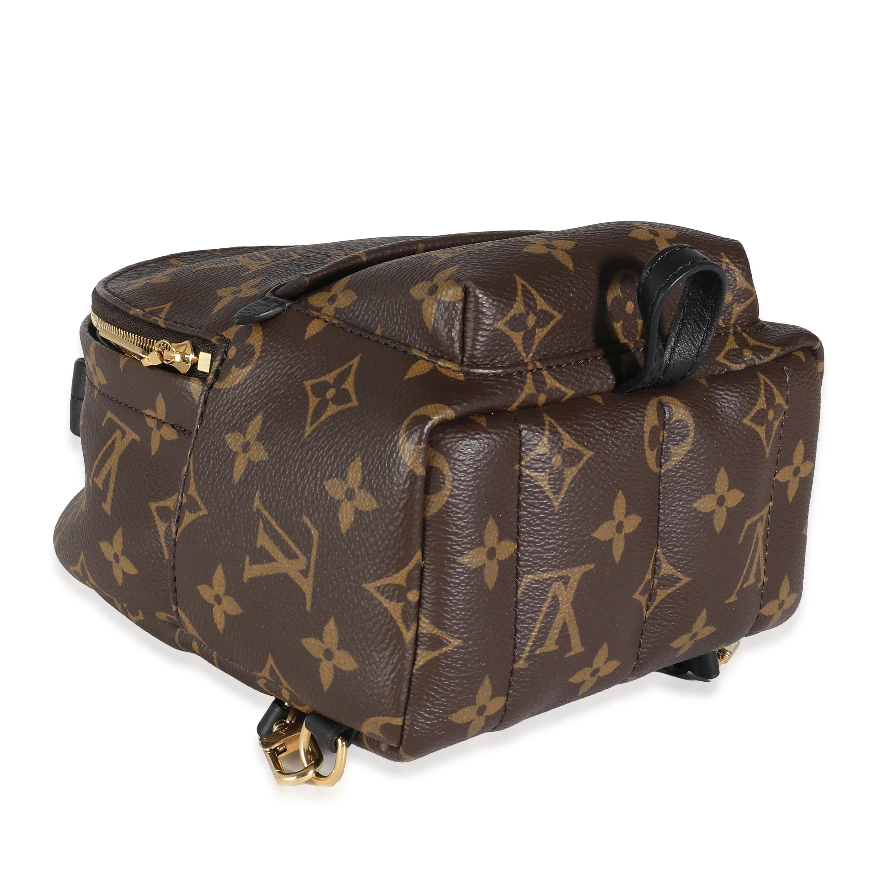 Louis Vuitton Monogram Canvas Mini Palm Springs